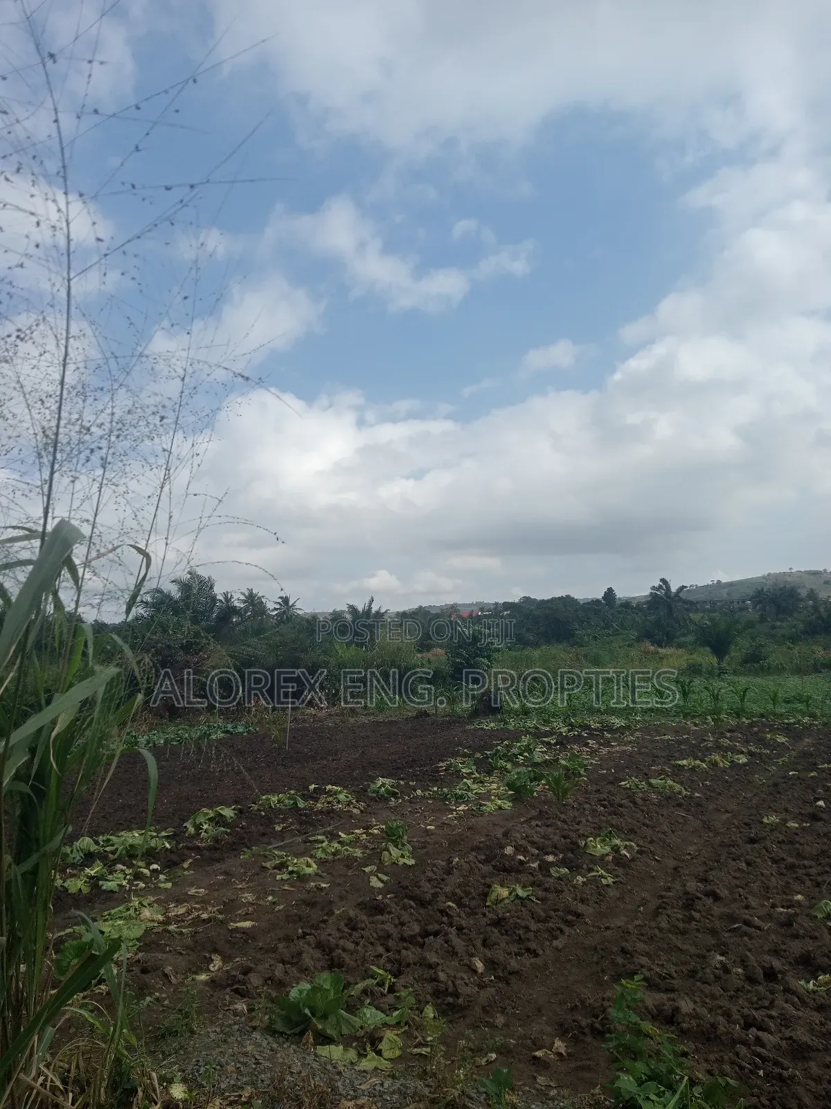 Acre of Land for Sale Aburi Nsawam Road in Akuapim South