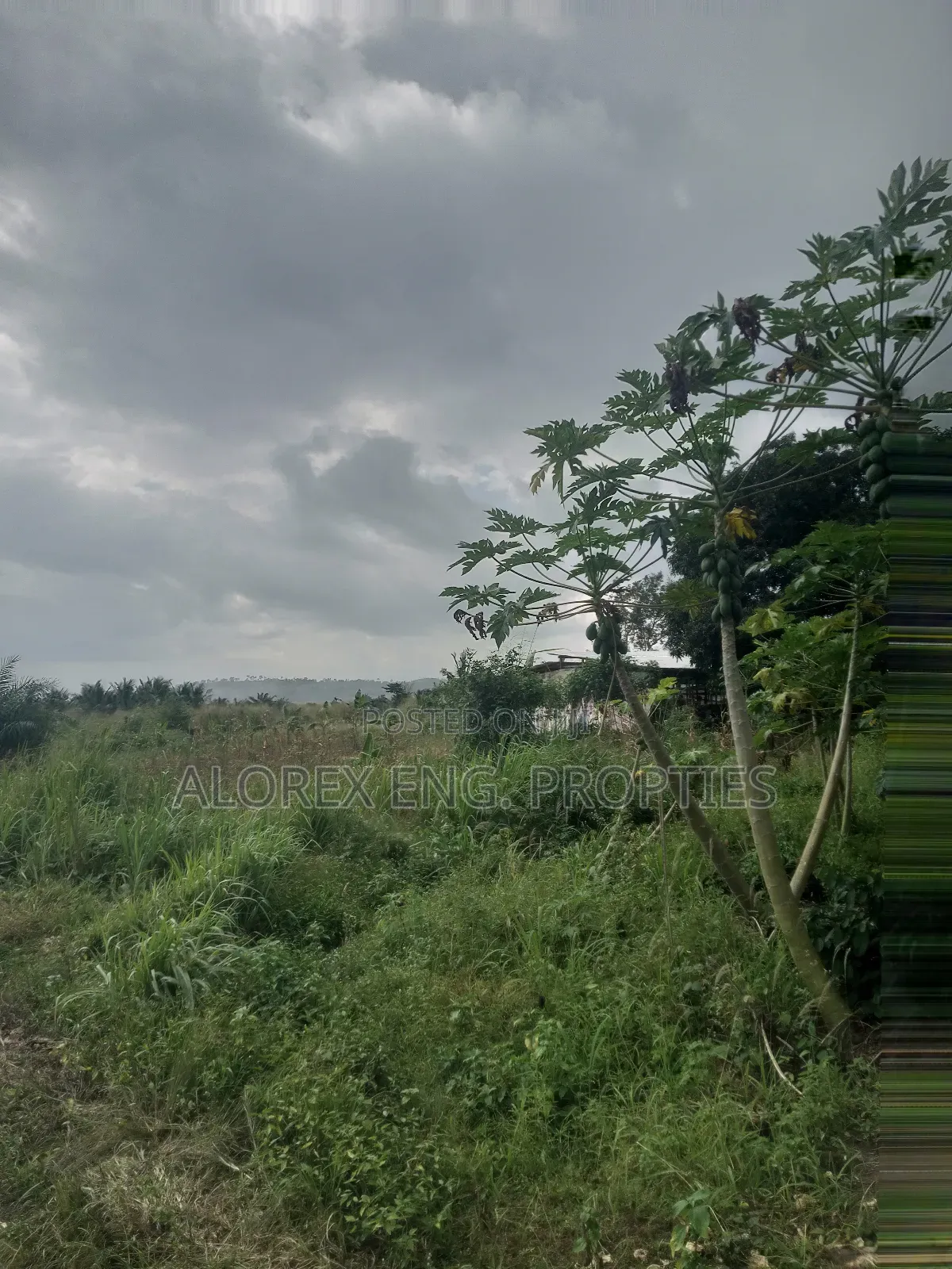 Acre of Land for Sale Aburi Nsawam Road in Akuapim South