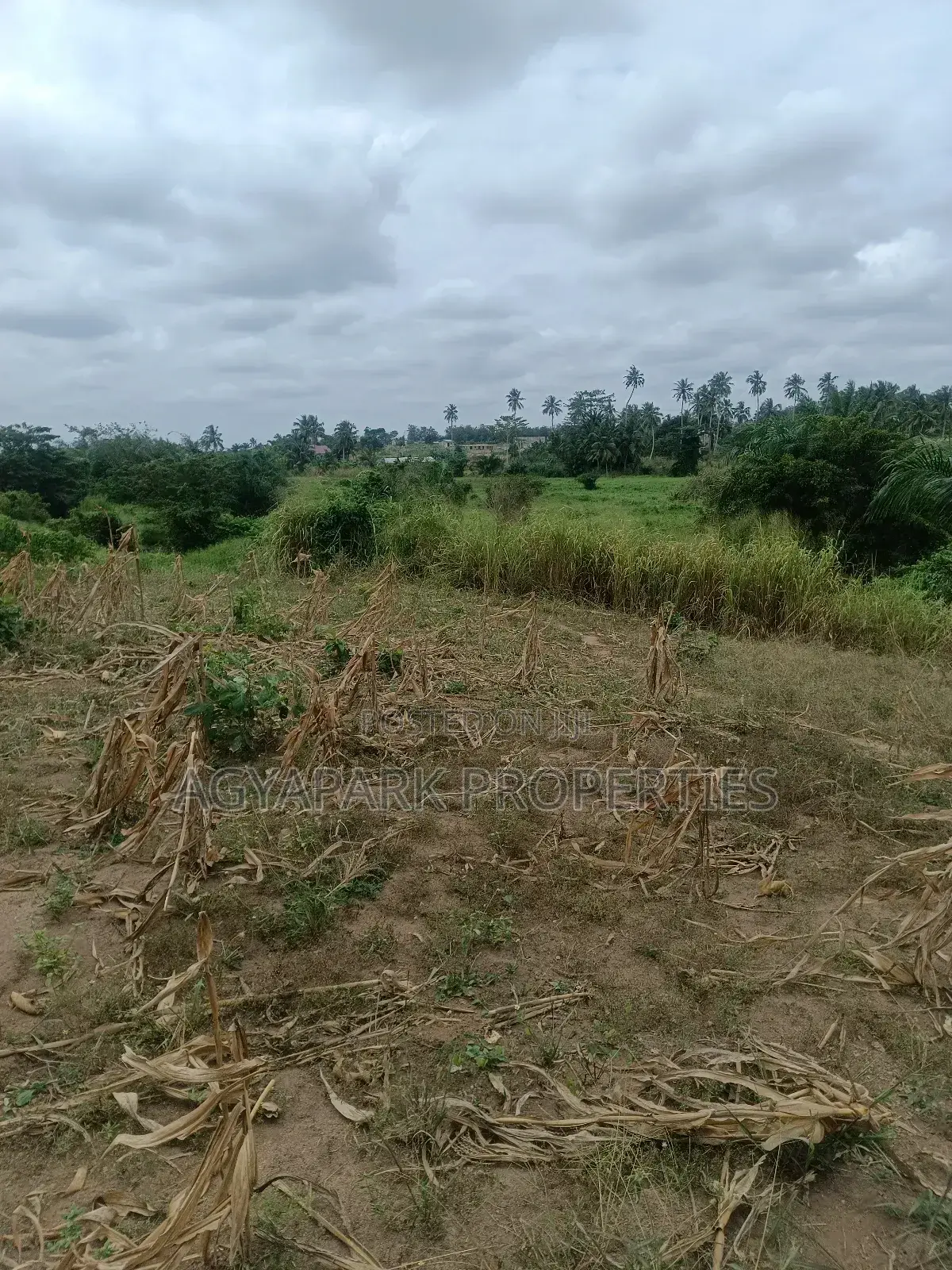 Ten Archers of Title Land at Amasaman Obom in Amasaman