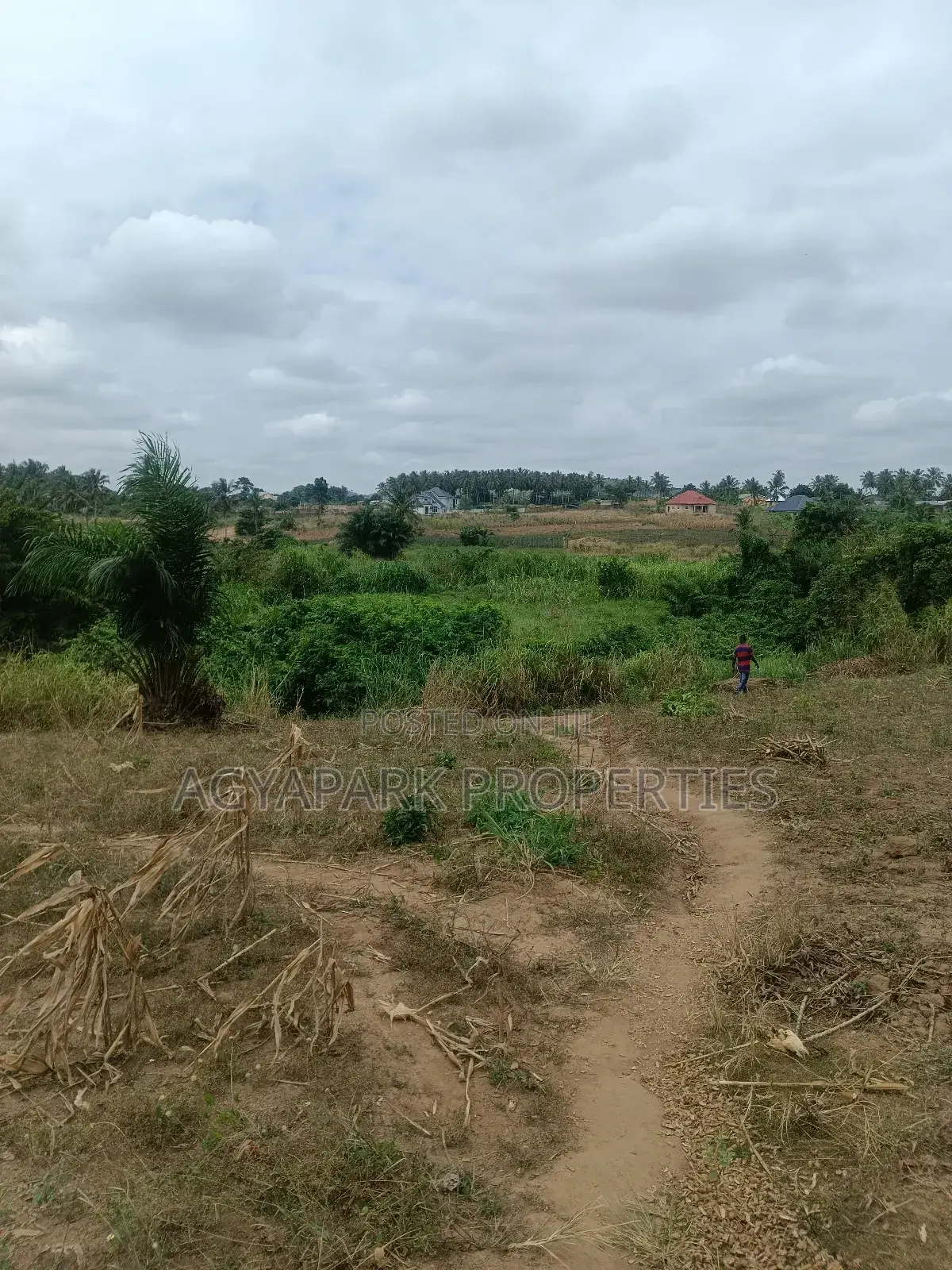 Ten Archers of Title Land at Amasaman Obom in Amasaman