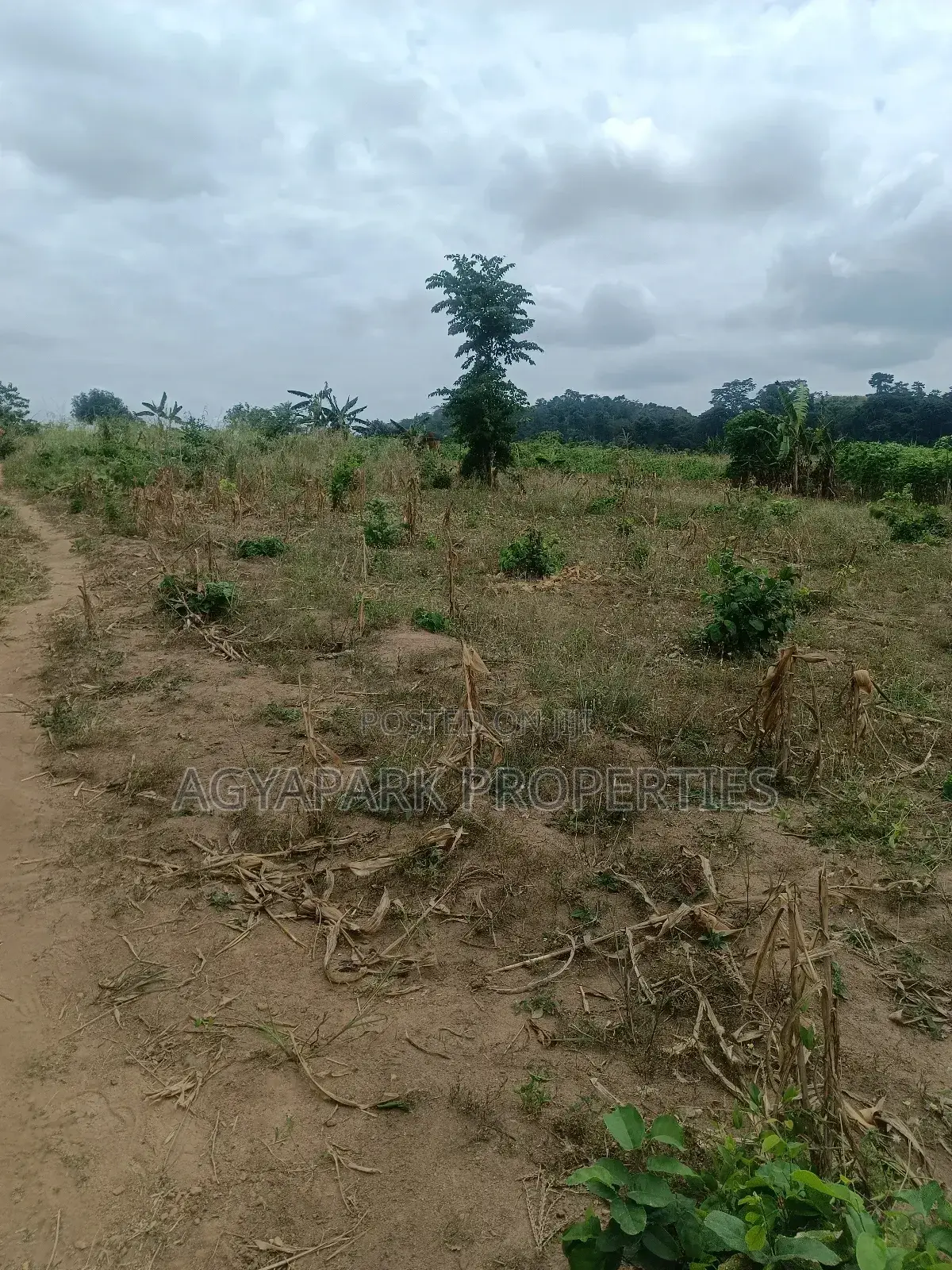 Ten Archers of Title Land at Amasaman Obom in Amasaman