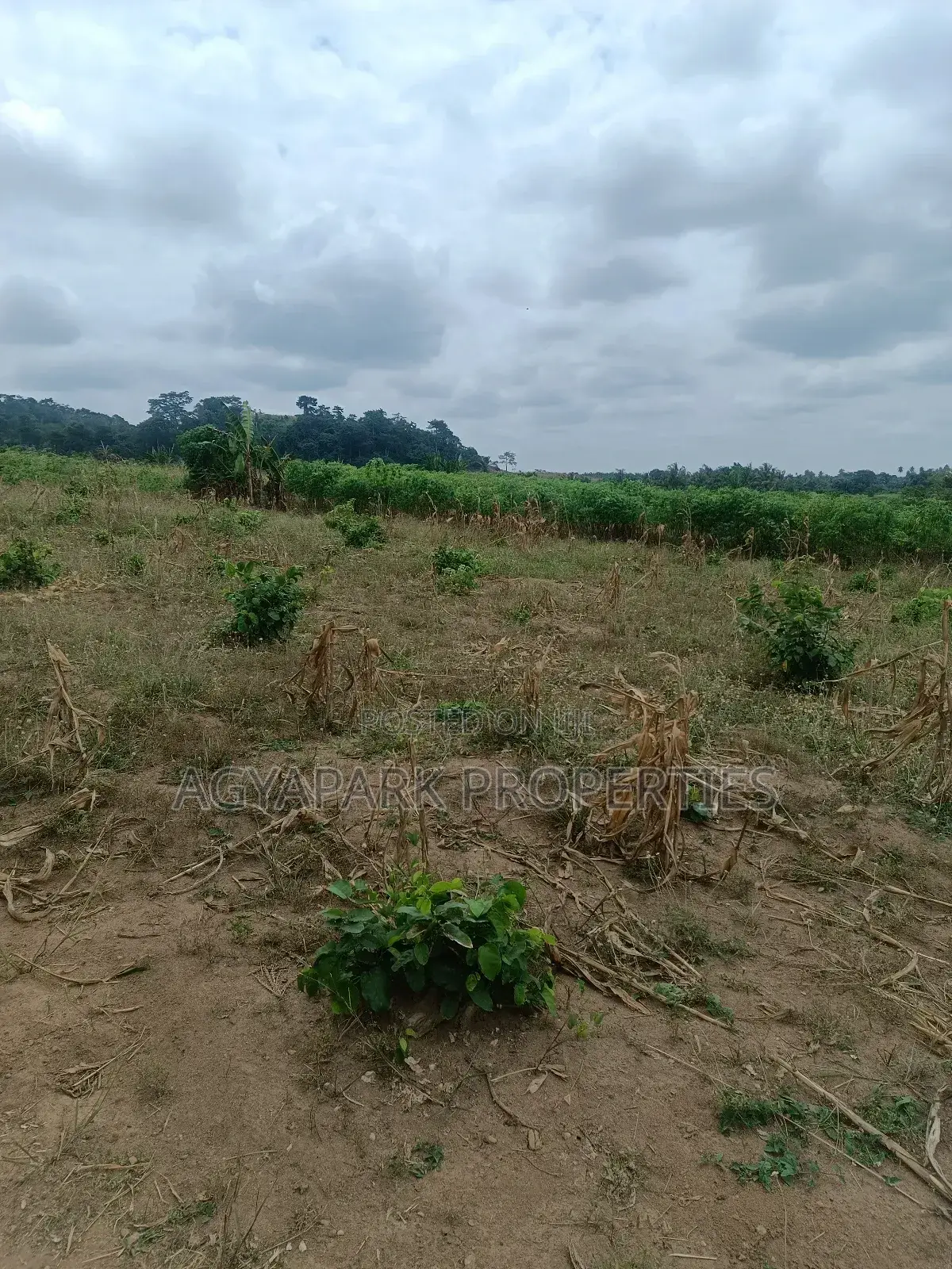 Ten Archers of Title Land at Amasaman Obom in Amasaman