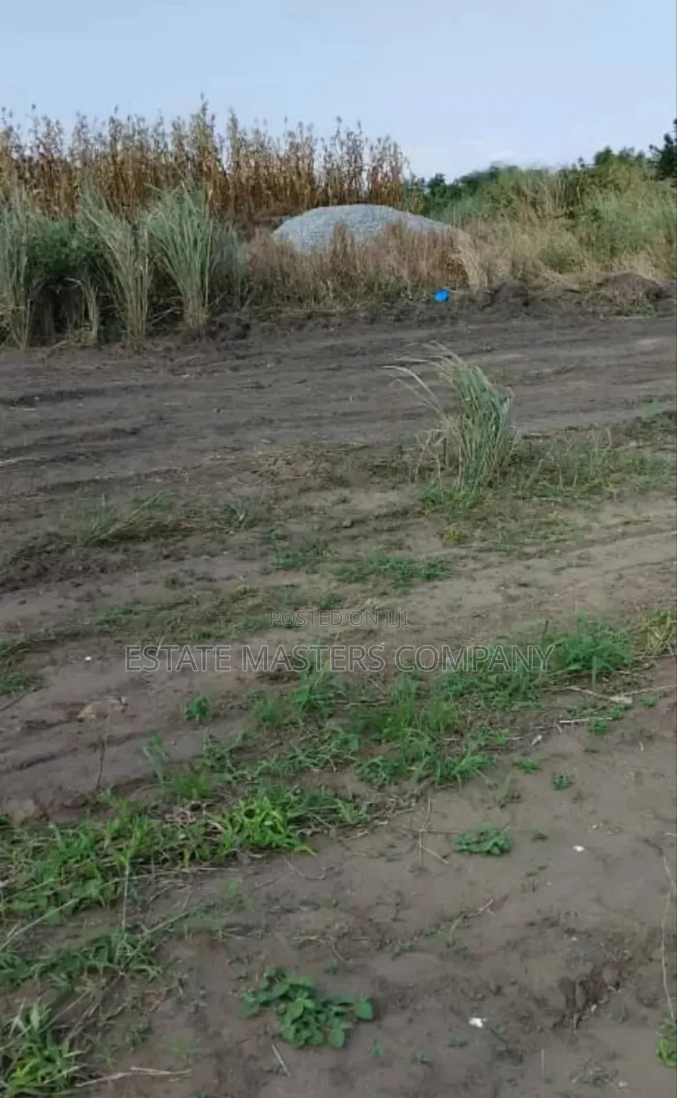 Land at Dominase Township With Authentic Documents in Kasoa