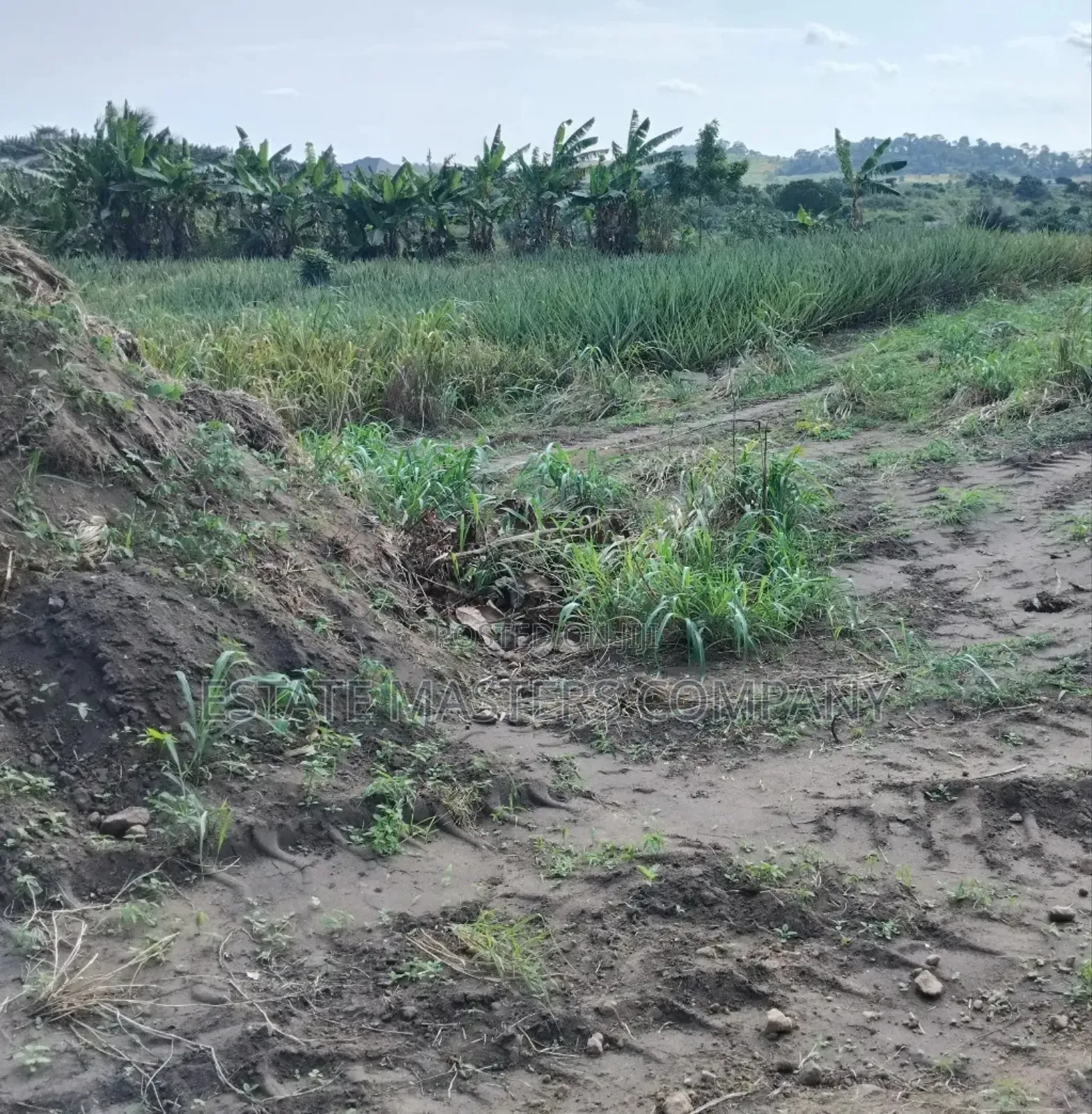 Own a Land With No Stumbling Block in Kasoa