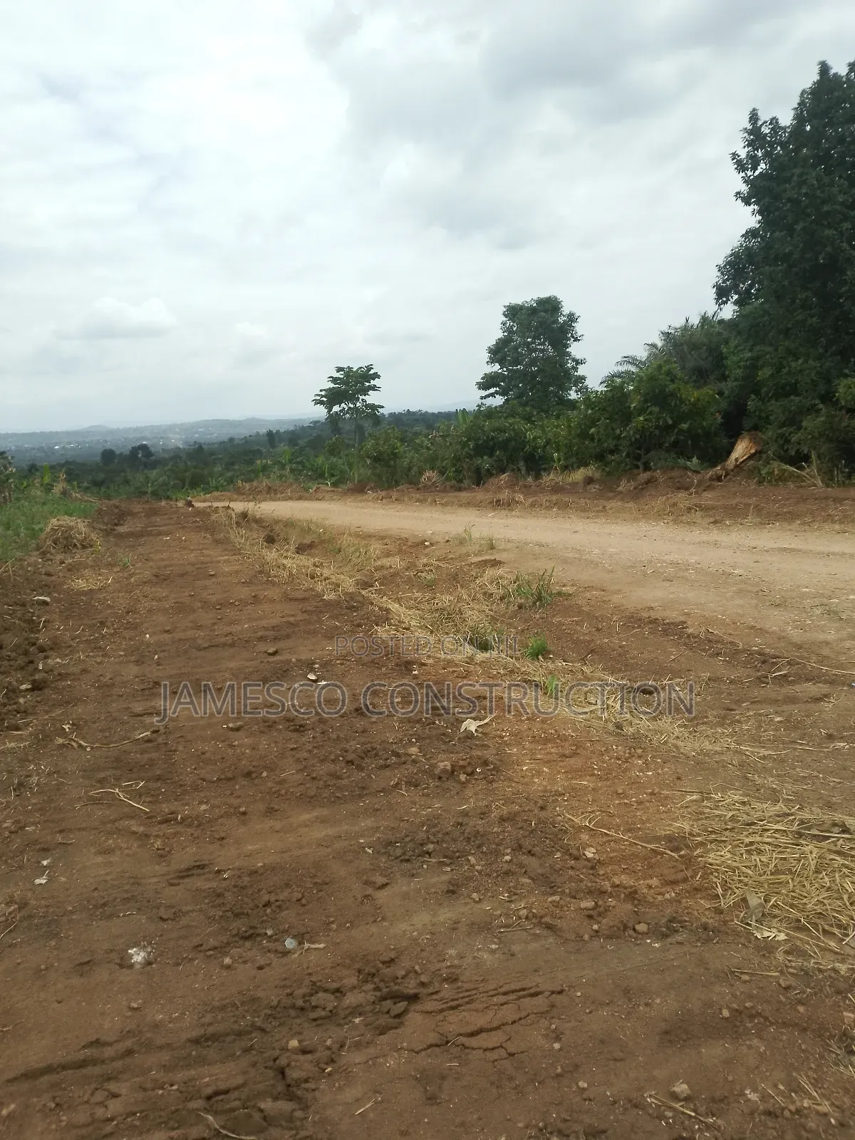 Registered Farmland for Sale in Ayensuano