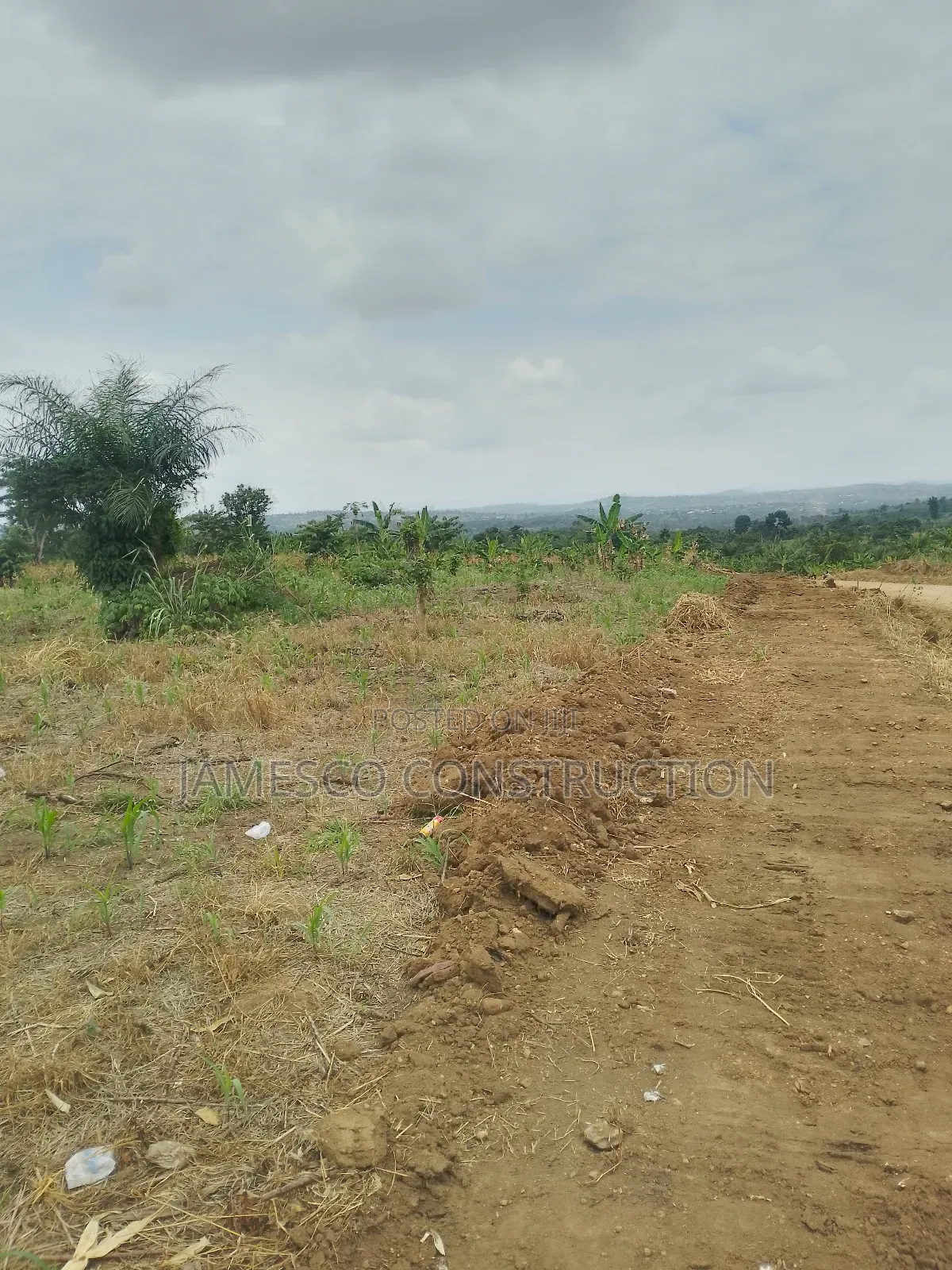 Registered Farmland for Sale in Ayensuano