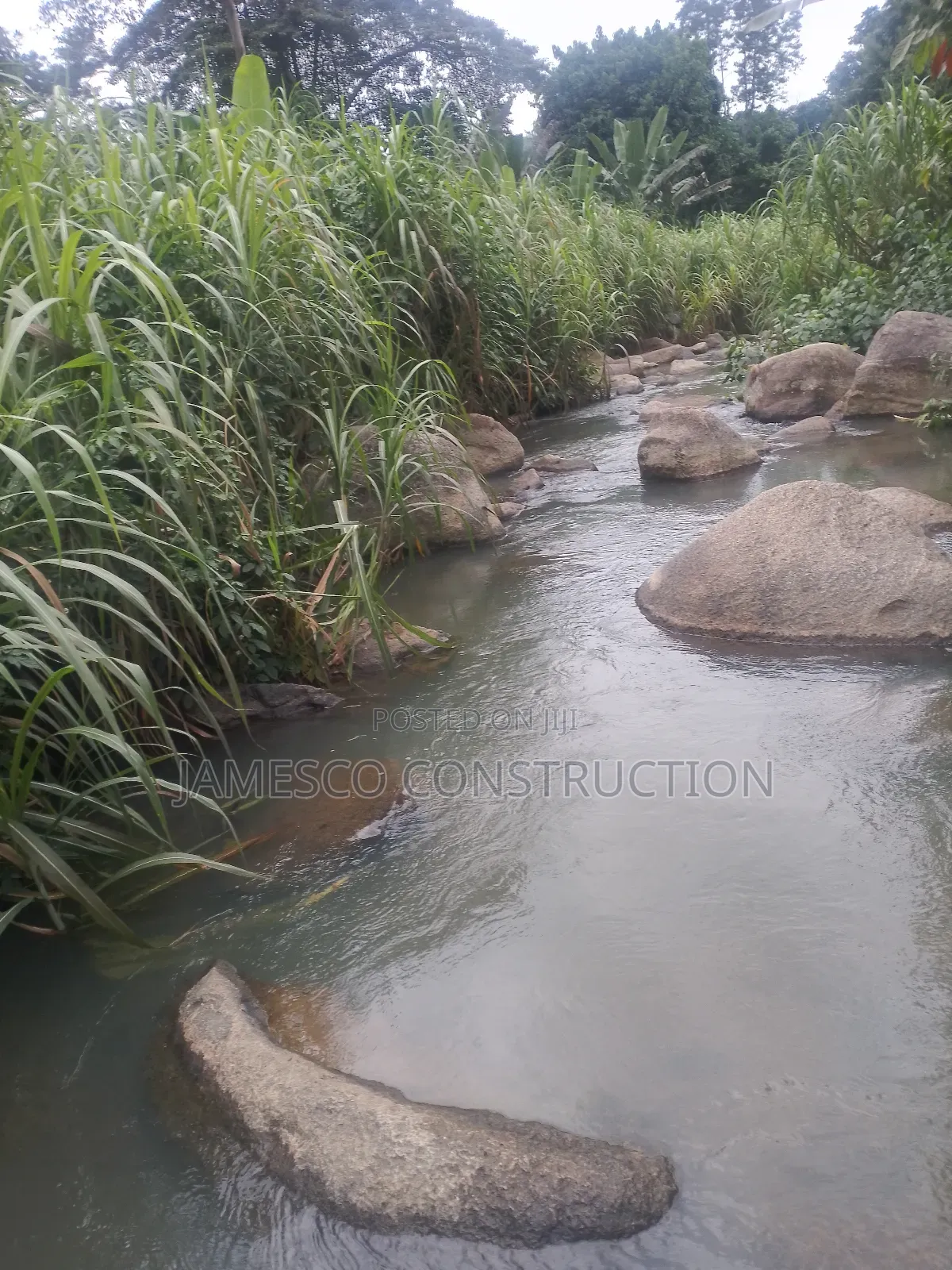 Cocoa Farm for Sale in Ayensuano