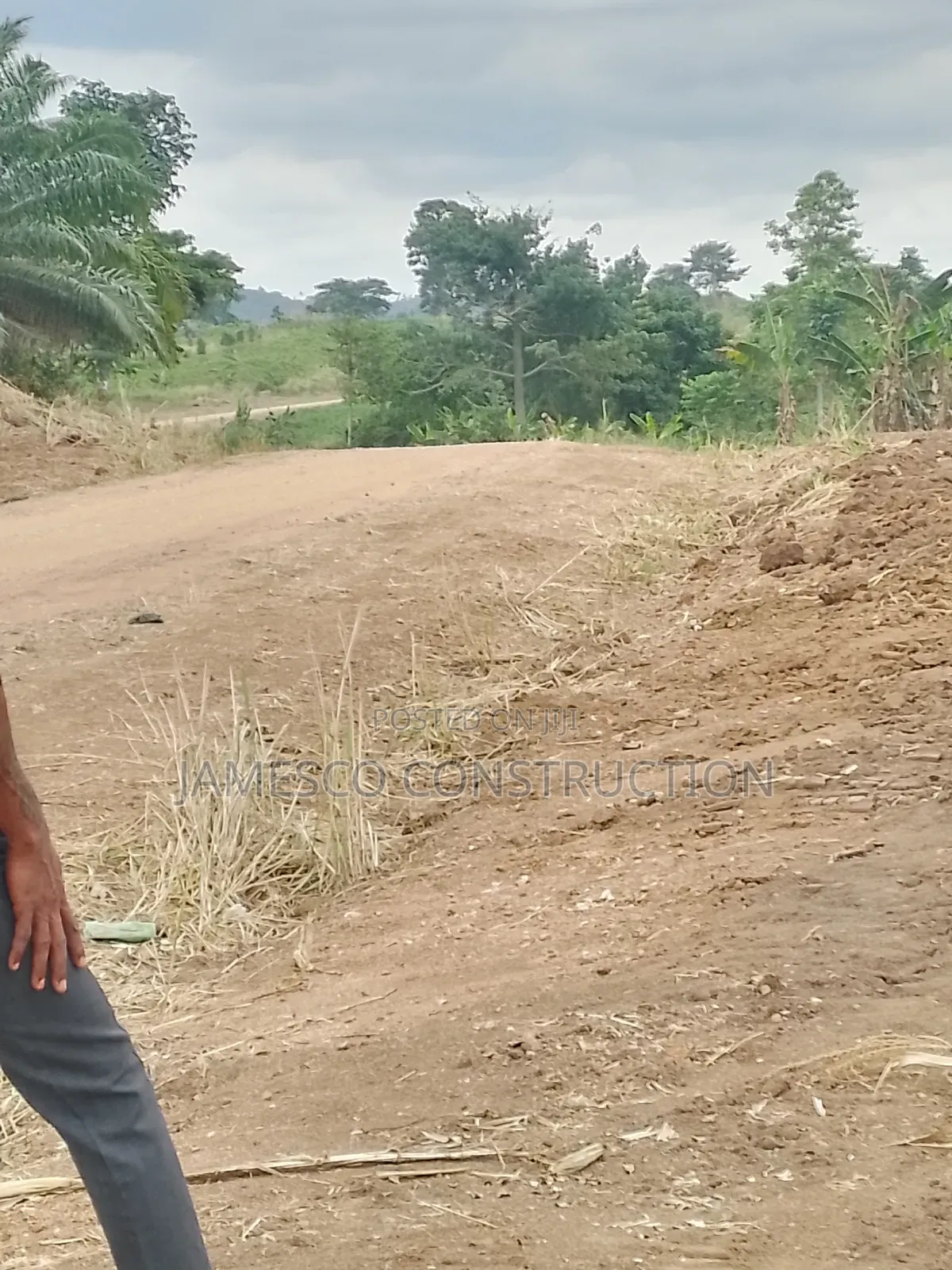 Farmland for Sale in Ayensuano