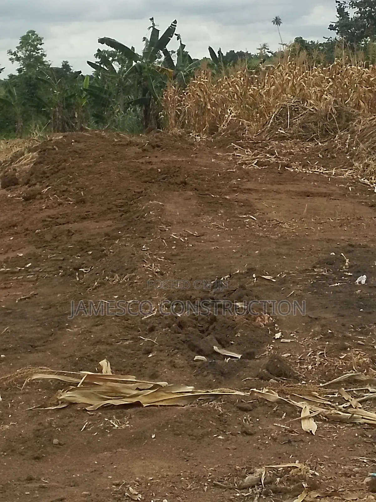 Farmland for Sale in Ayensuano