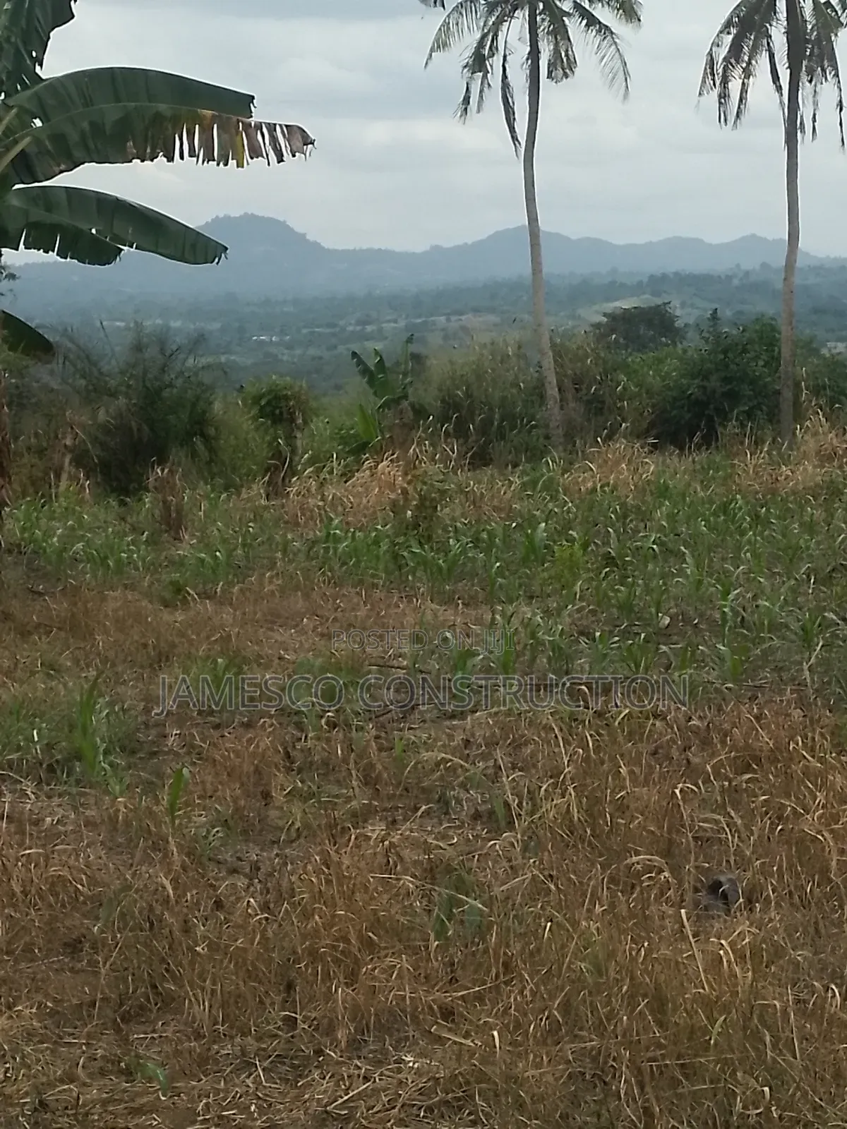 Farmland for Sale in Ayensuano