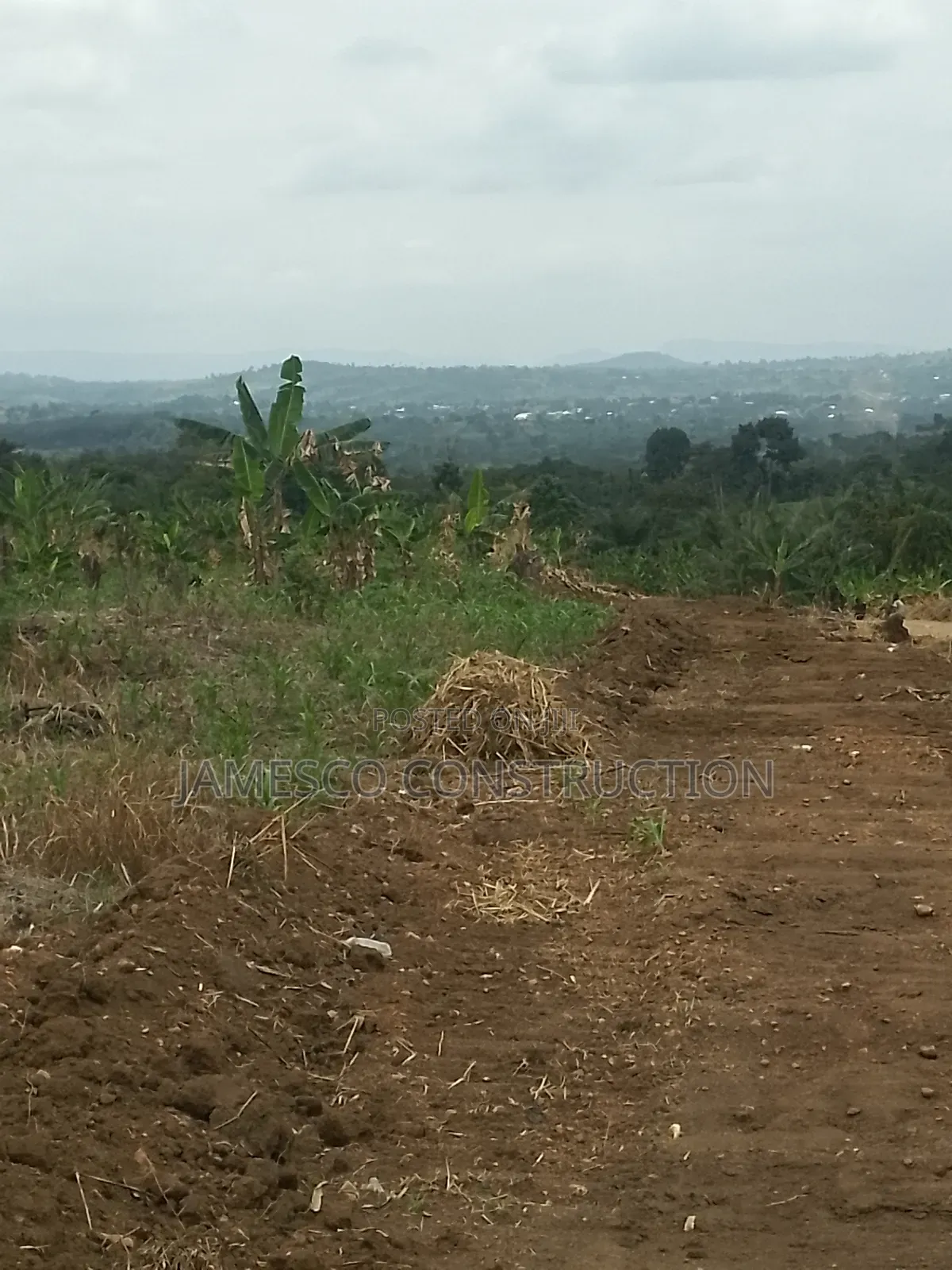 Farmland for Sale in Ayensuano