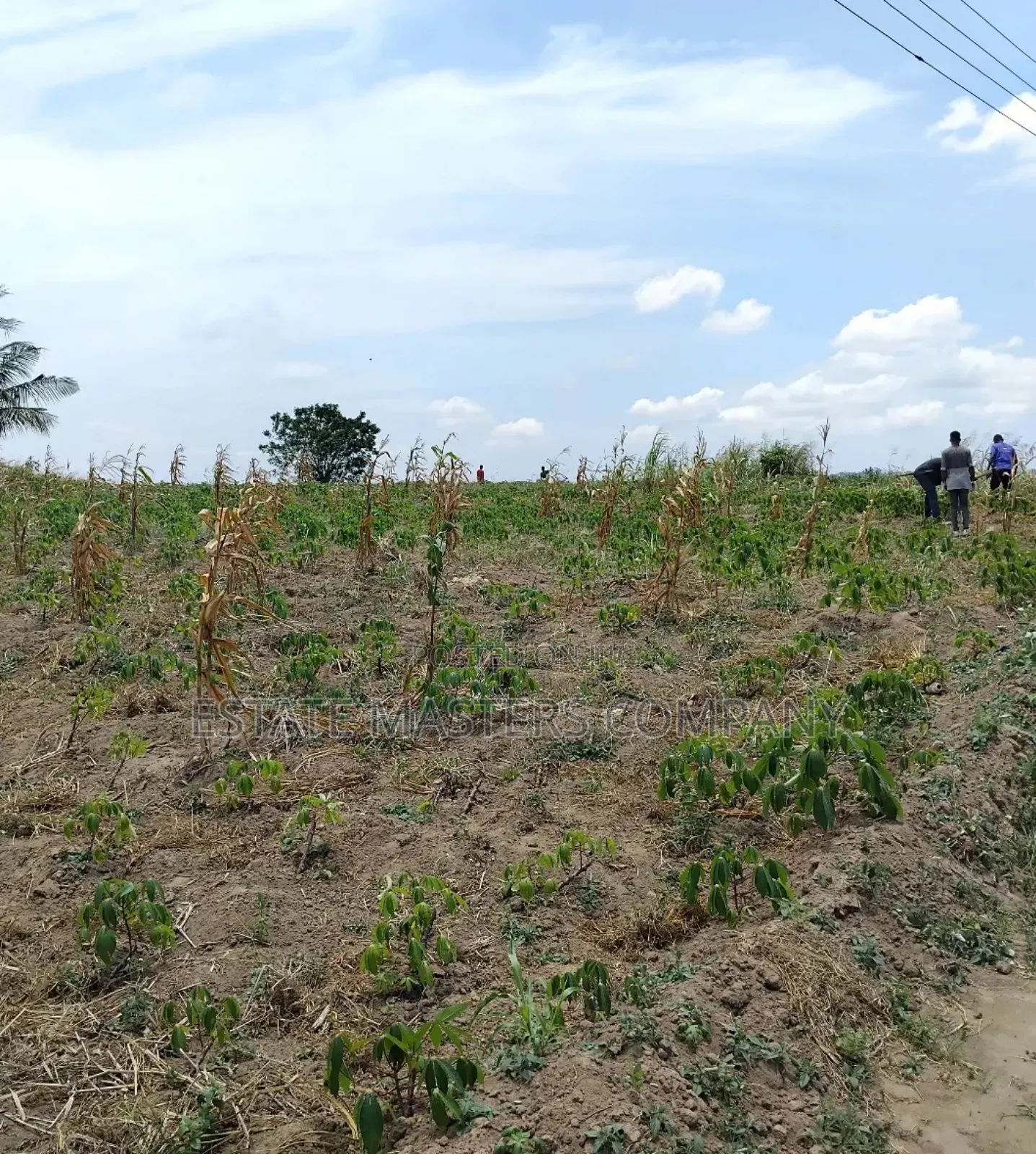 Monumental Land Available at Panfokrom in Budumburam