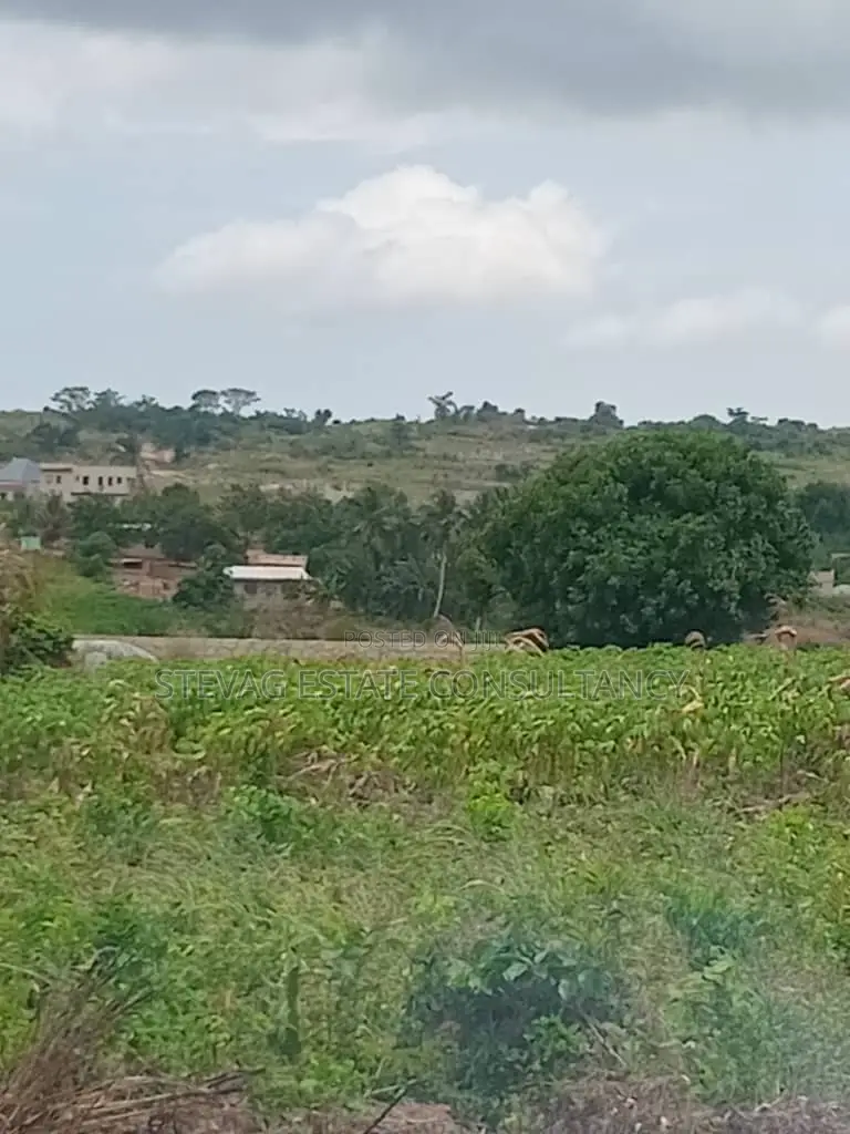 Alpha Properties Land at Denchira for Sale in Ga South Municipal