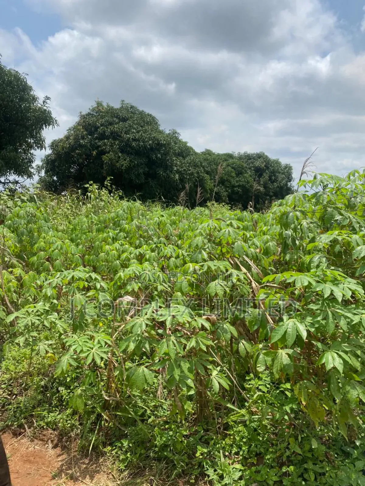 2 Plots for Sale at New Legon in Accra Metropolitan