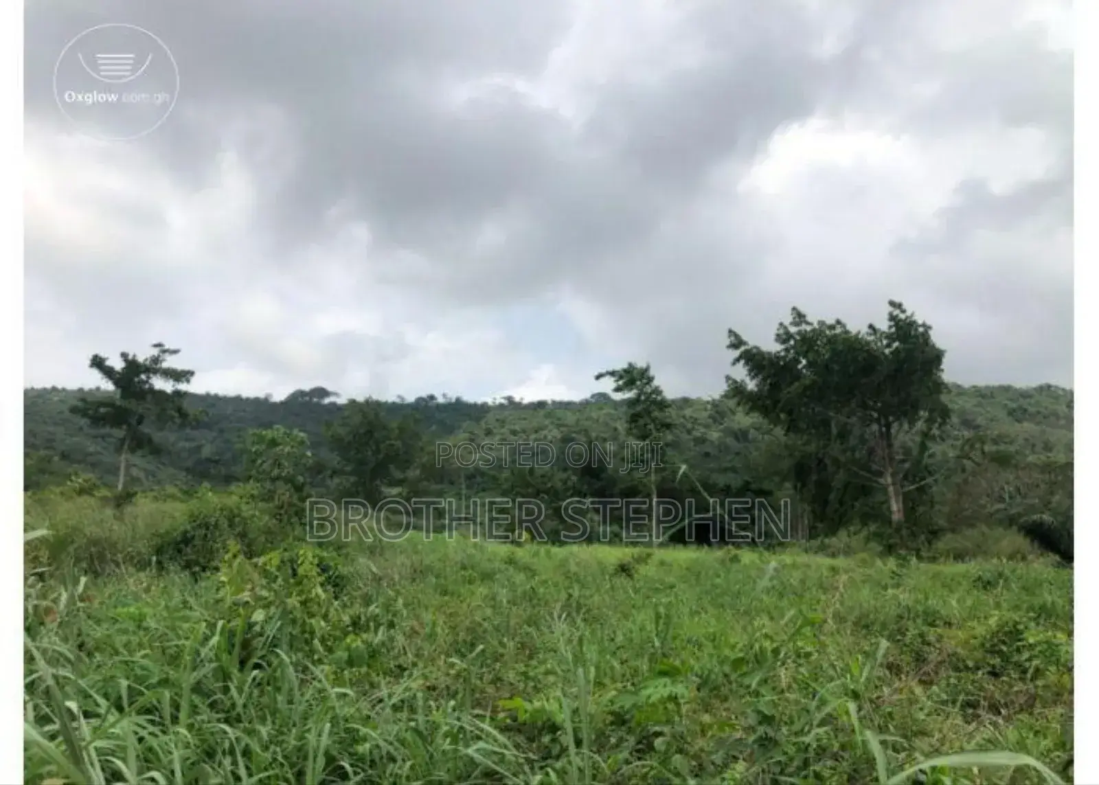 12,000 Acres Of Farmland For Sale At Asamankese. in East Akim Municipal