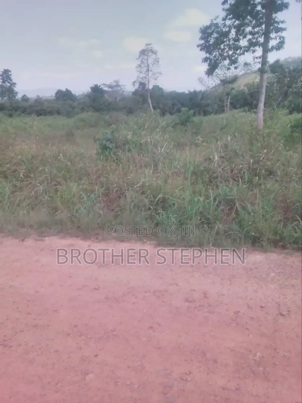 12,000 Acres Of Farmland For Sale At Asamankese. in East Akim Municipal