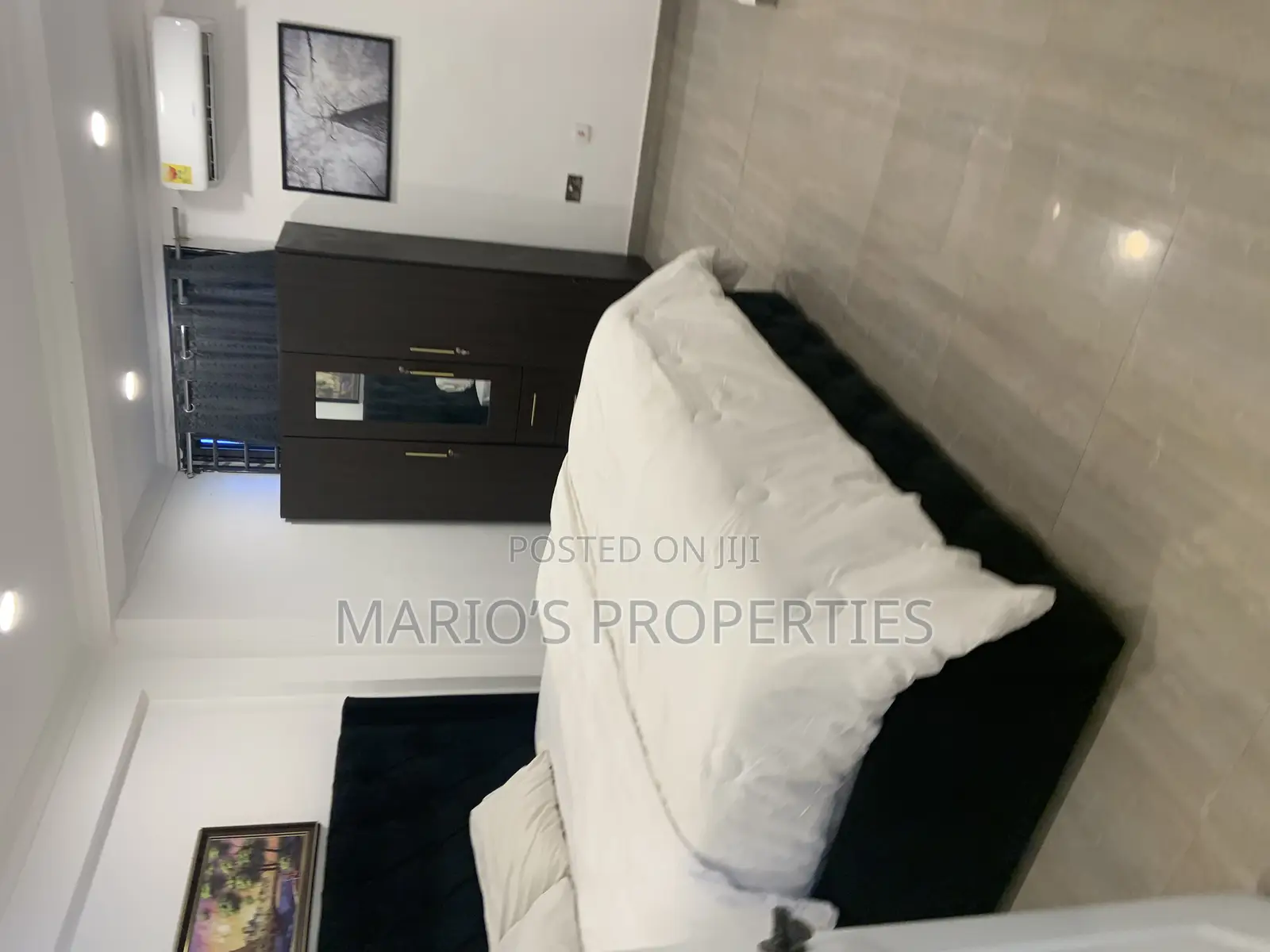 Furnished 1bdrm Apartment in East Legon for rent in East Legon