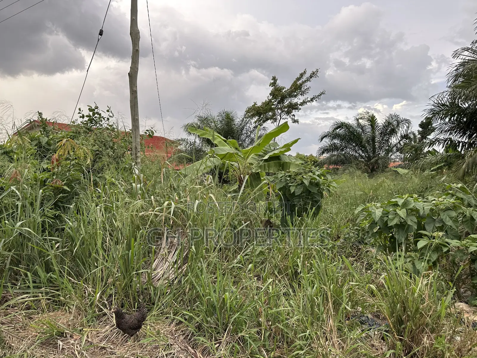 One Plot for Sale at Sokoban,Kwaso in Kumasi Metropolitan