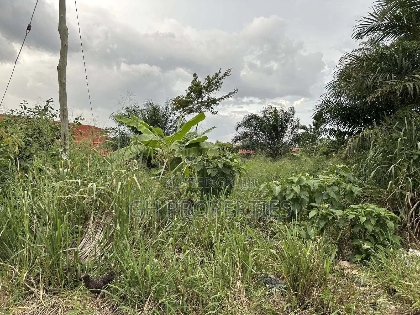 One Plot for Sale at Sokoban,Kwaso in Kumasi Metropolitan