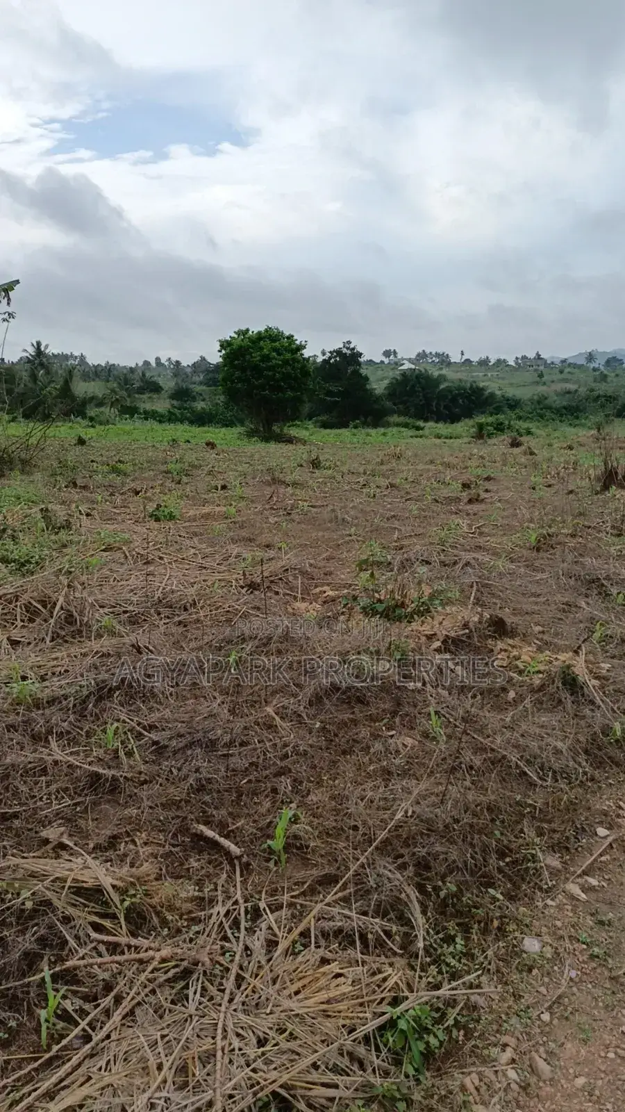 Archers of Land for Sale at Obom in Amasaman