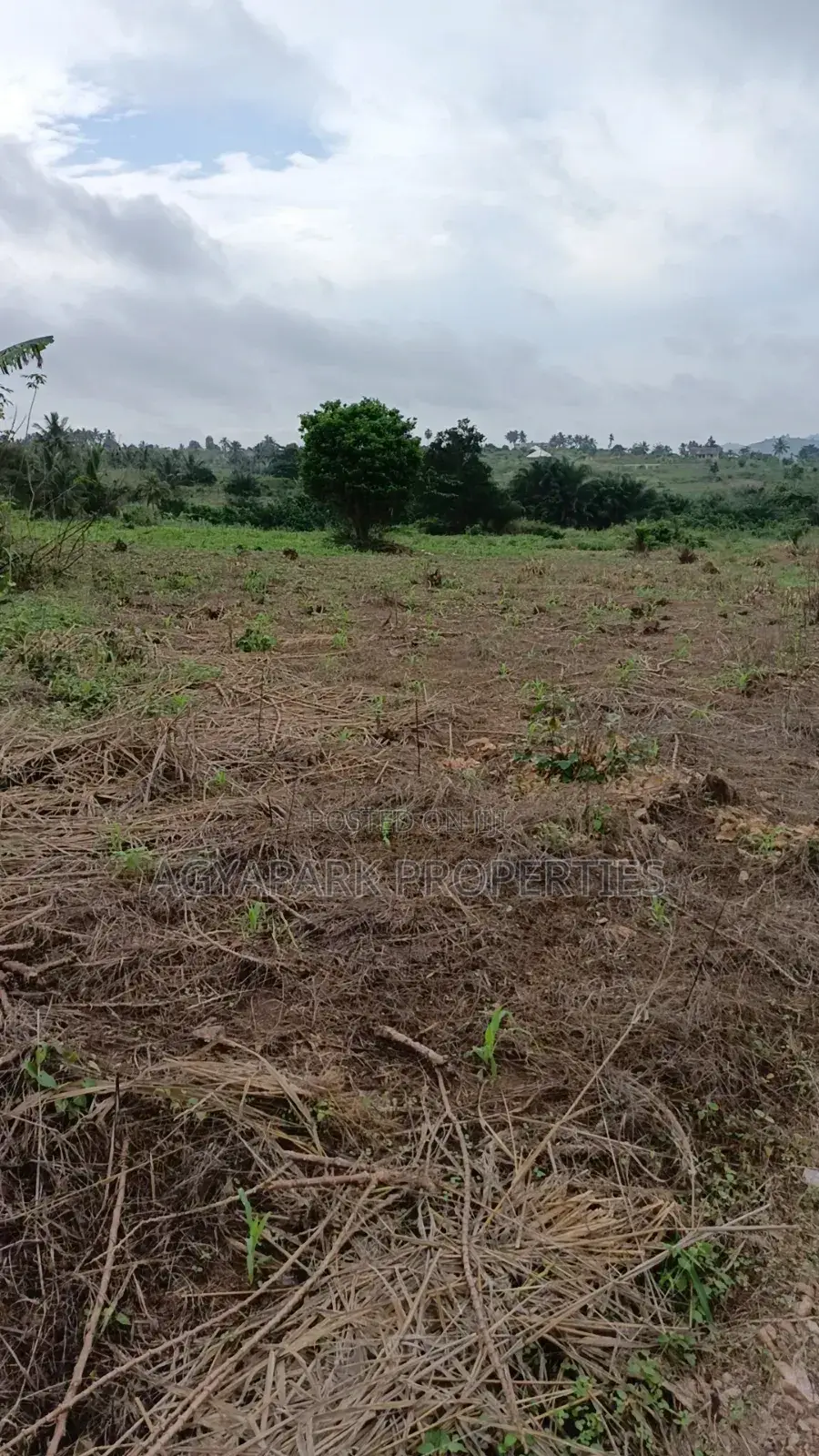 Archers of Land for Sale at Obom in Amasaman