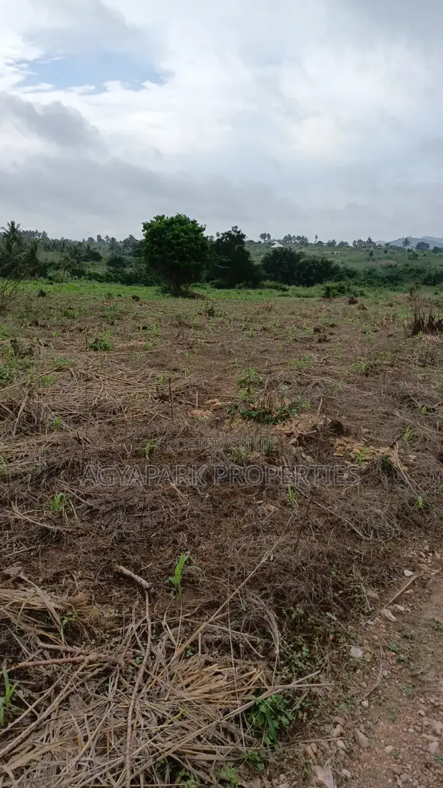 Archers of Land for Sale at Obom in Amasaman