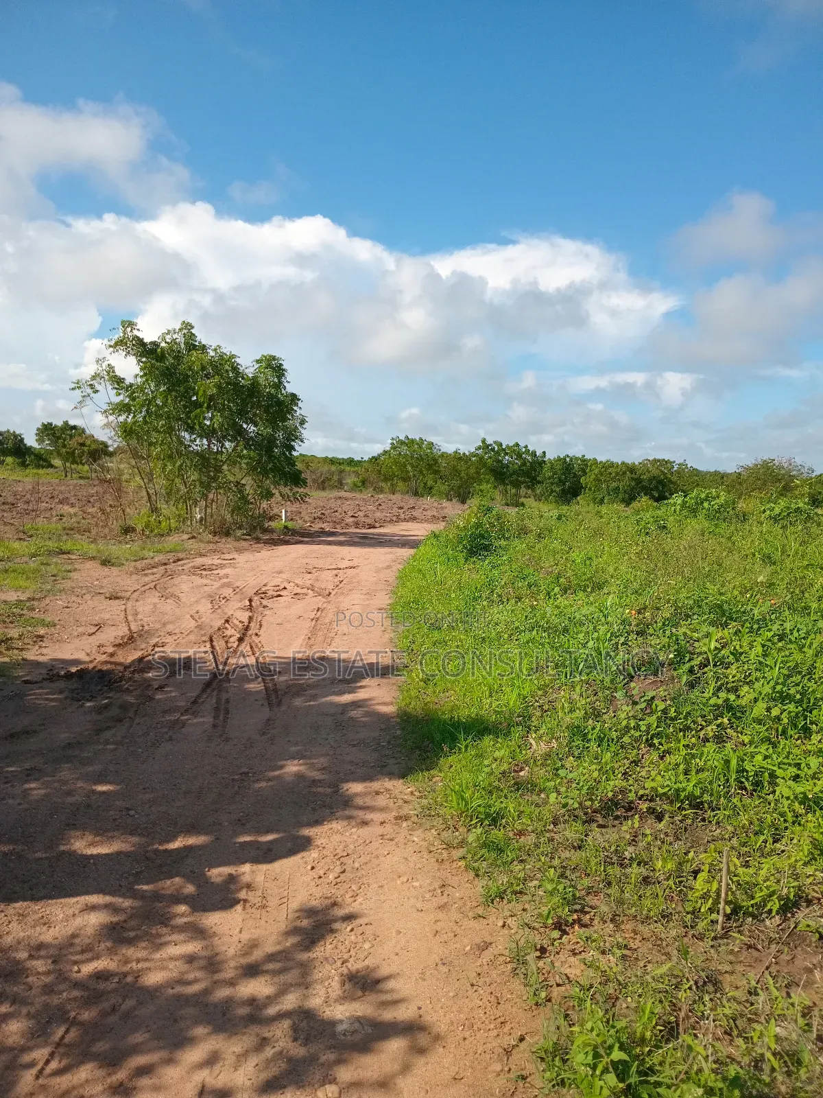 Alpha Properties Land for Sale at Winneba Nsuakyiri Beach Area in Effutu Municipal