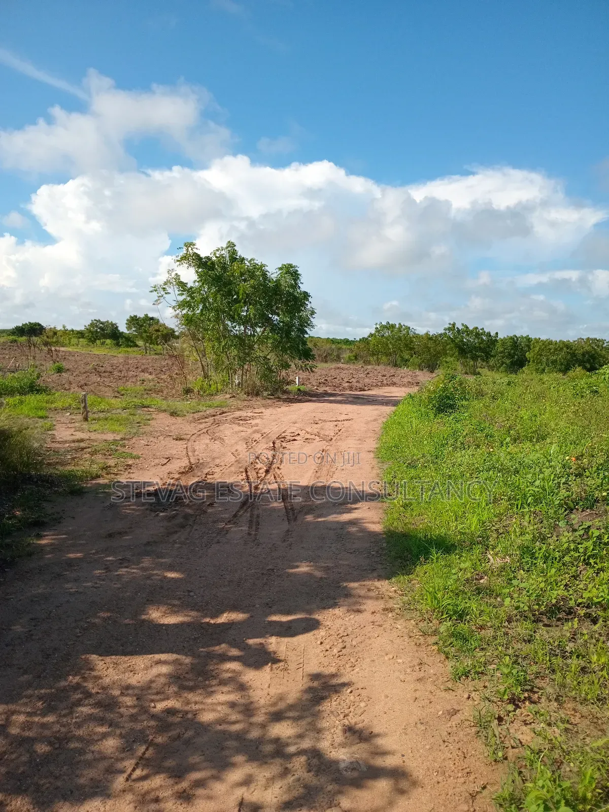 Alpha Properties Land for Sale at Winneba Nsuakyiri Beach Area in Effutu Municipal