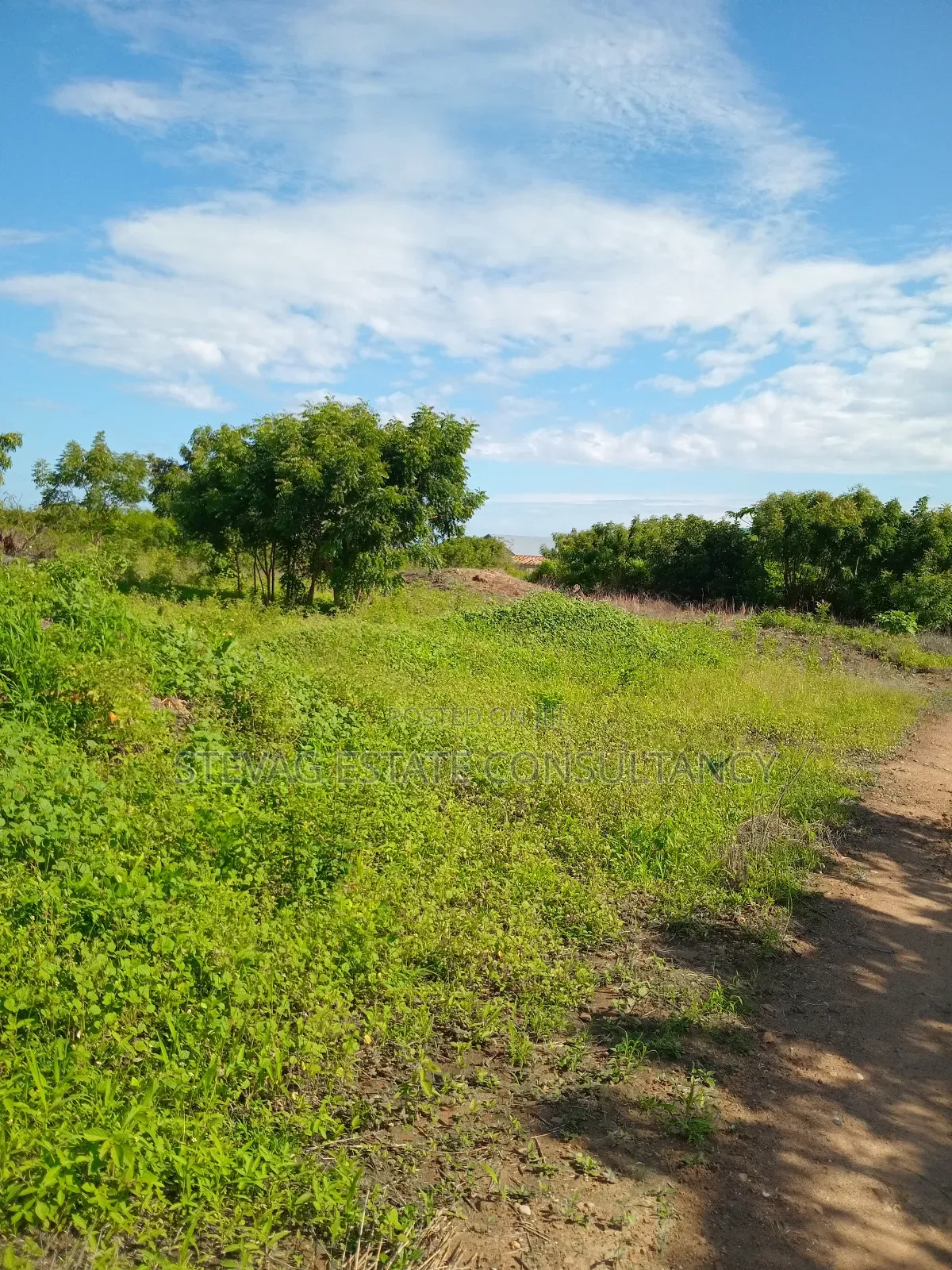 Alpha Properties Land for Sale at Winneba Nsuakyiri Beach Area in Effutu Municipal