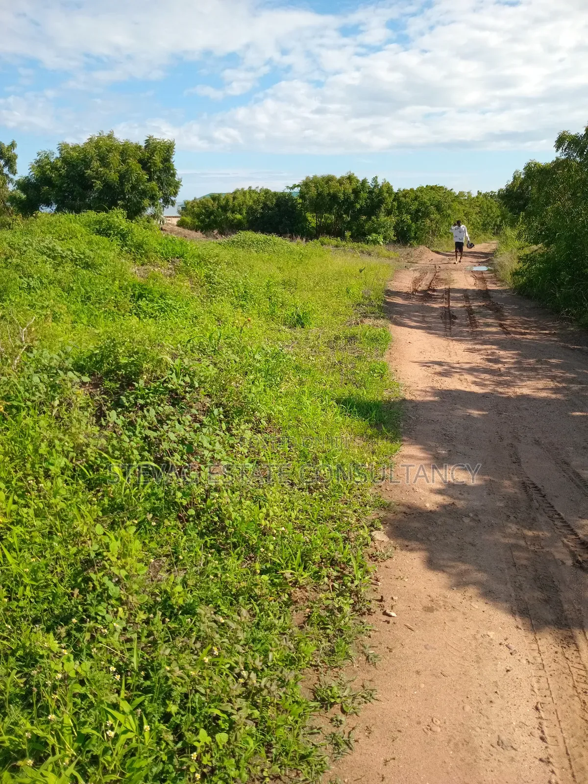 Alpha Properties Land for Sale at Winneba Nsuakyiri Beach Area in Effutu Municipal
