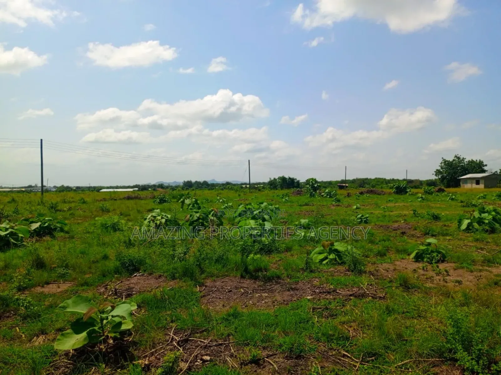 200 Acres of Riverfront Land at Atimpoku Juapong in Asuogyaman