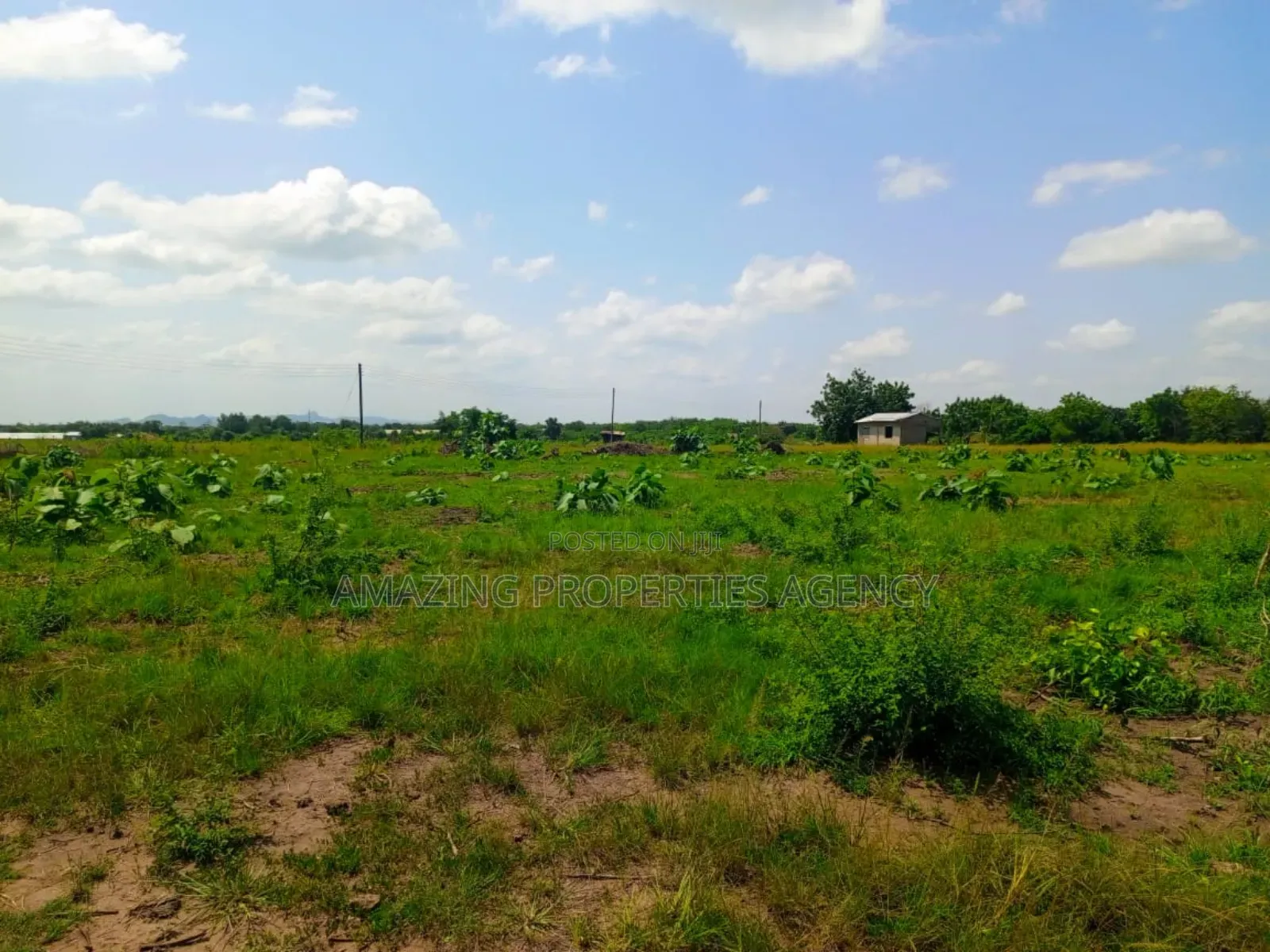 200 Acres of Riverfront Land at Atimpoku Juapong in Asuogyaman