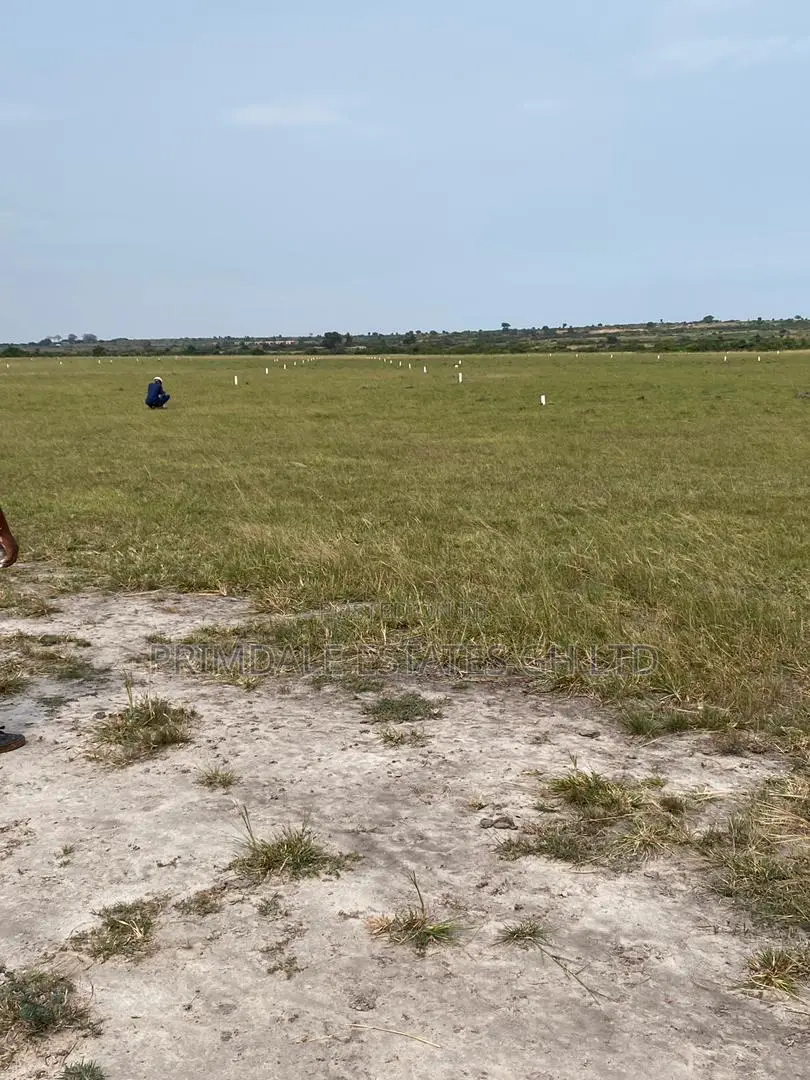 Genuine Estate Land for Sale at Tsopoli in Old Ningo