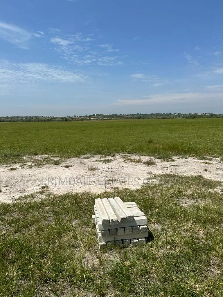 Genuine Estate Land for Sale at Tsopoli in Old Ningo