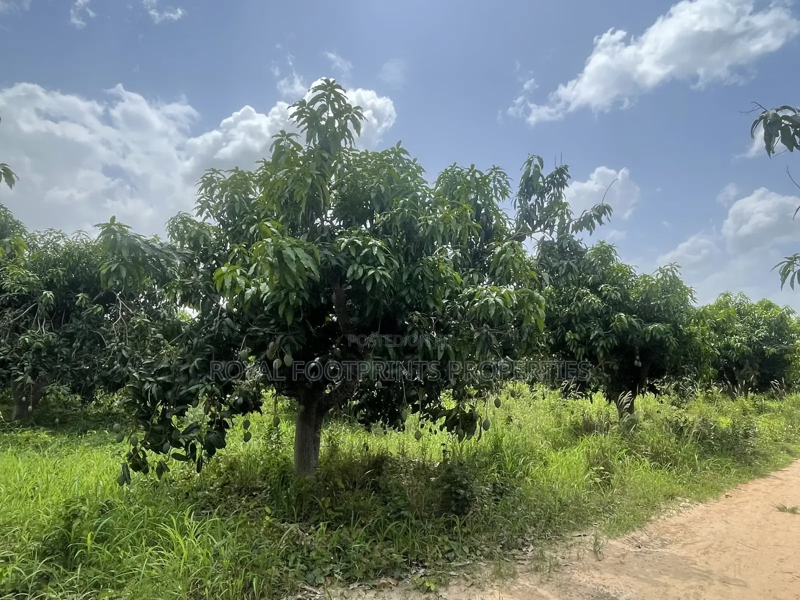 5 Acres of a Titled Land Up for Sale in Dodowa