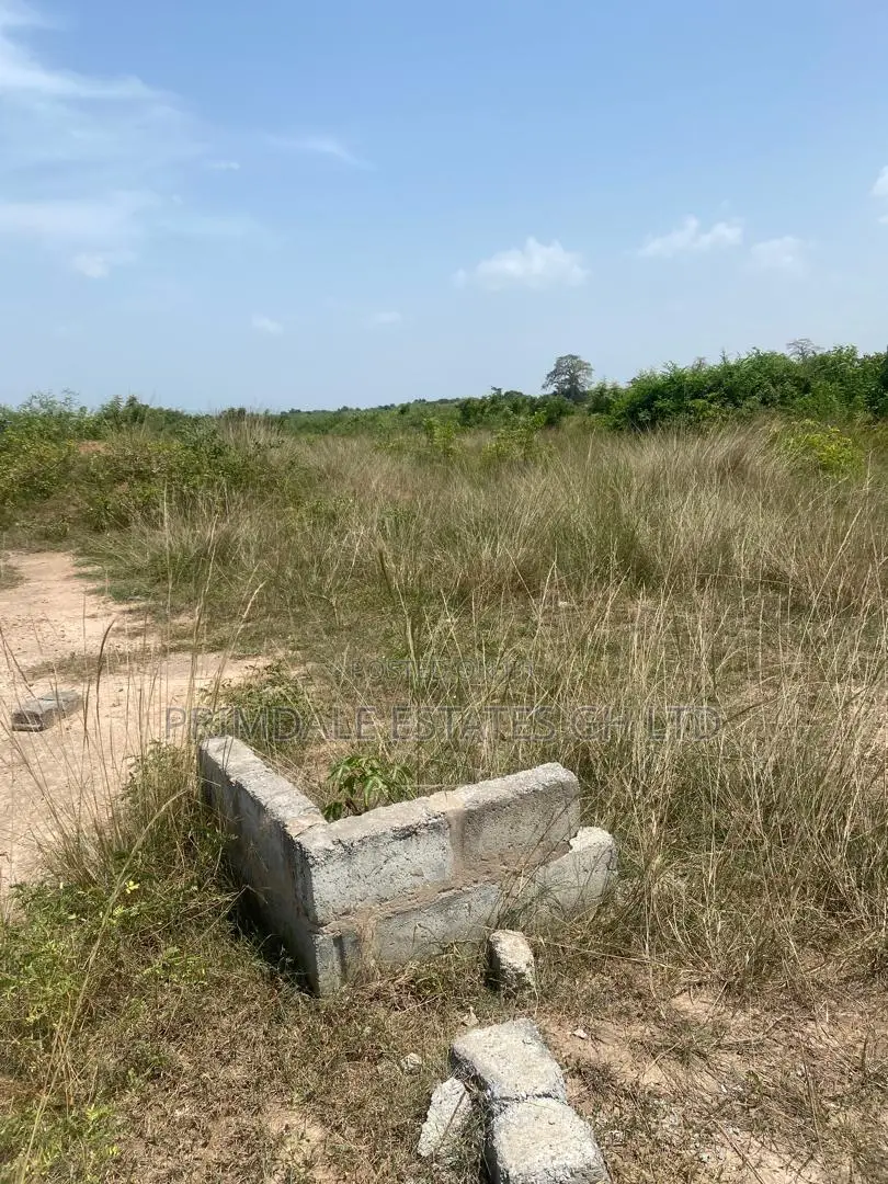 Afienya Genuine Full Plots in Sakumono