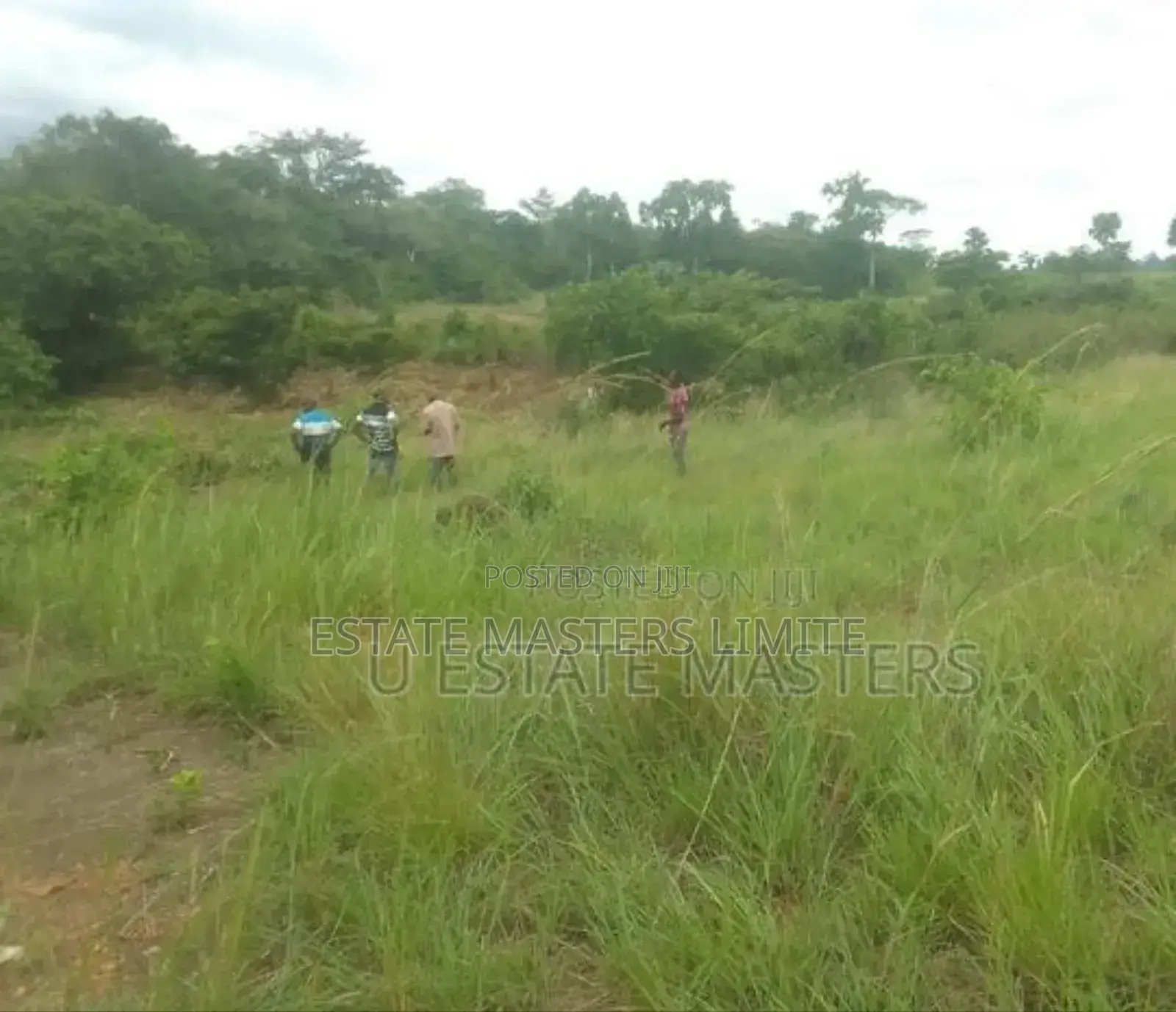 100×100 Plot of Land for Sale at Potsin Off the Wineba Road in Gomoa East