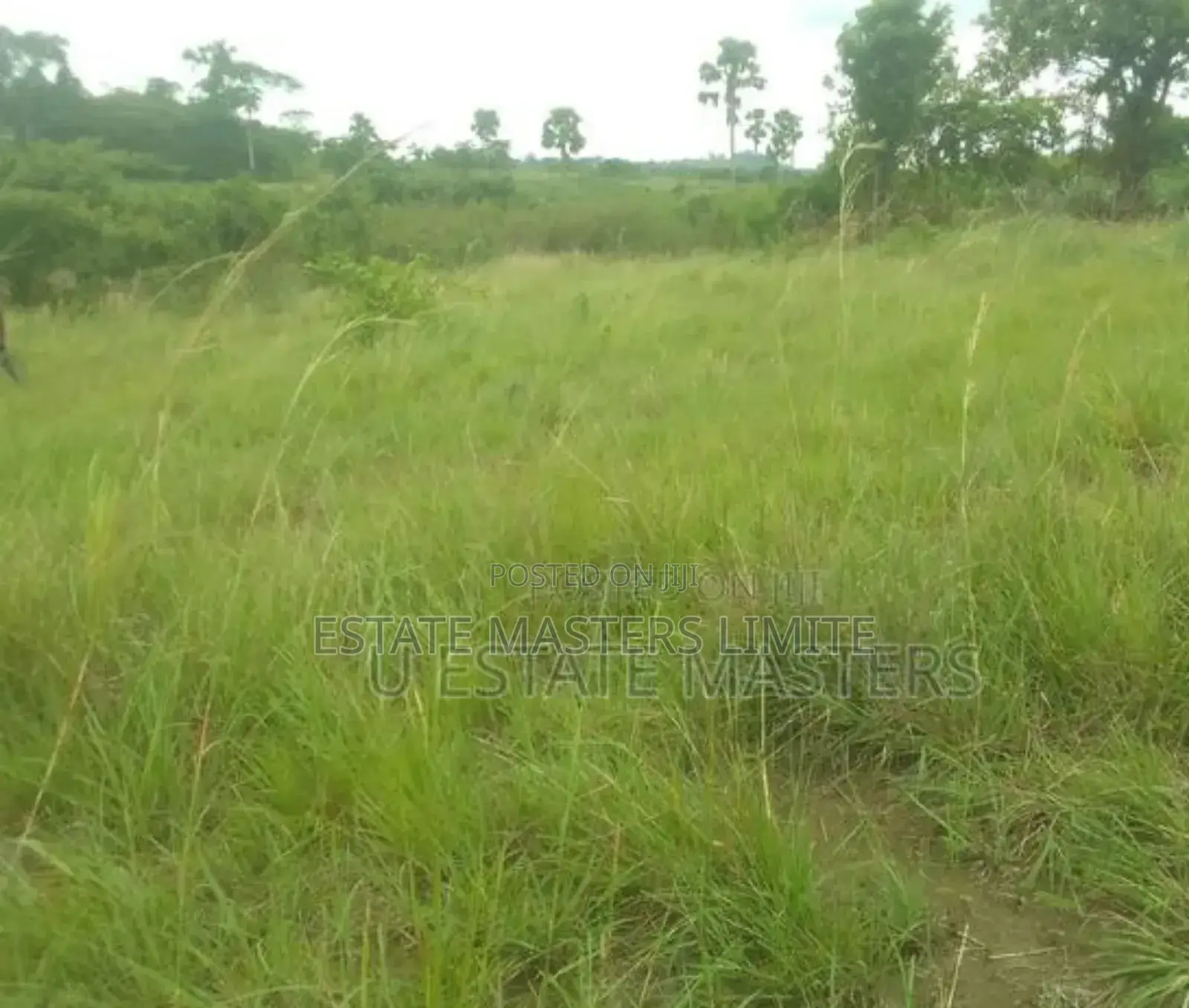 100×100 Plot of Land for Sale at Potsin Off the Wineba Road in Gomoa East
