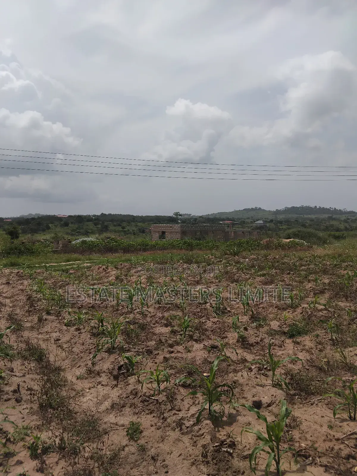 Affordable and Litigation Free Land Available at Dominase in Gomoa East