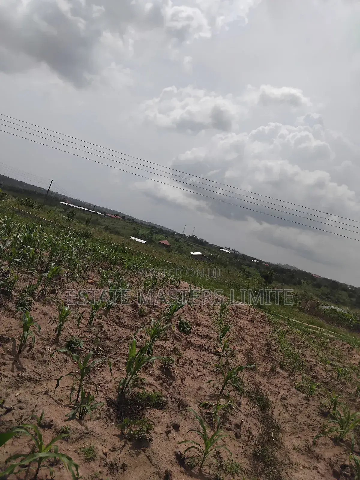 Affordable and Litigation Free Land Available at Dominase in Gomoa East
