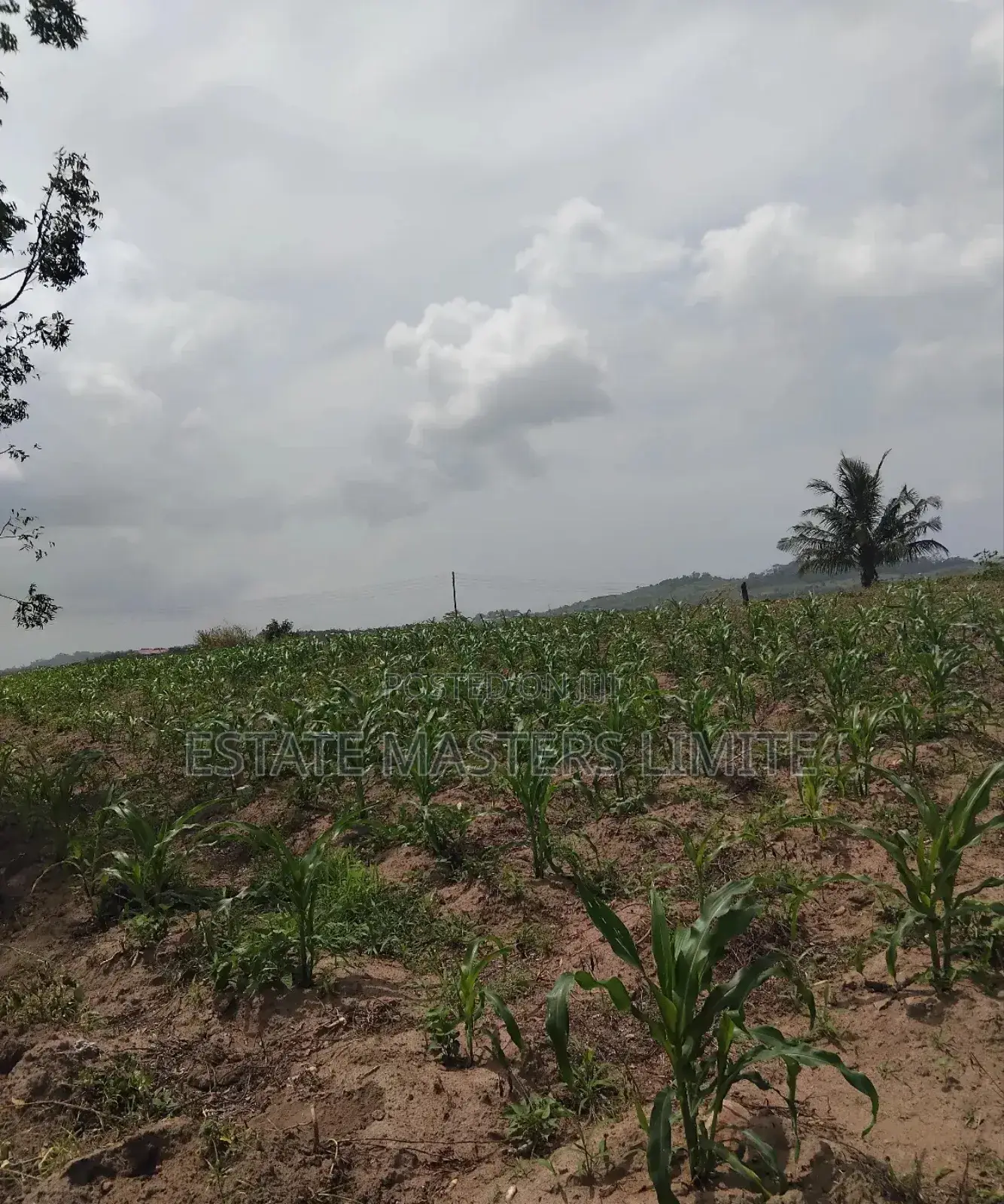 70x100 Land at Affordable Prices at Dominase in Gomoa East