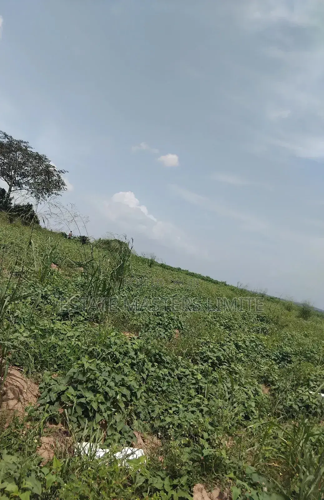 70x100 Land at Affordable Prices at Dominase in Gomoa East