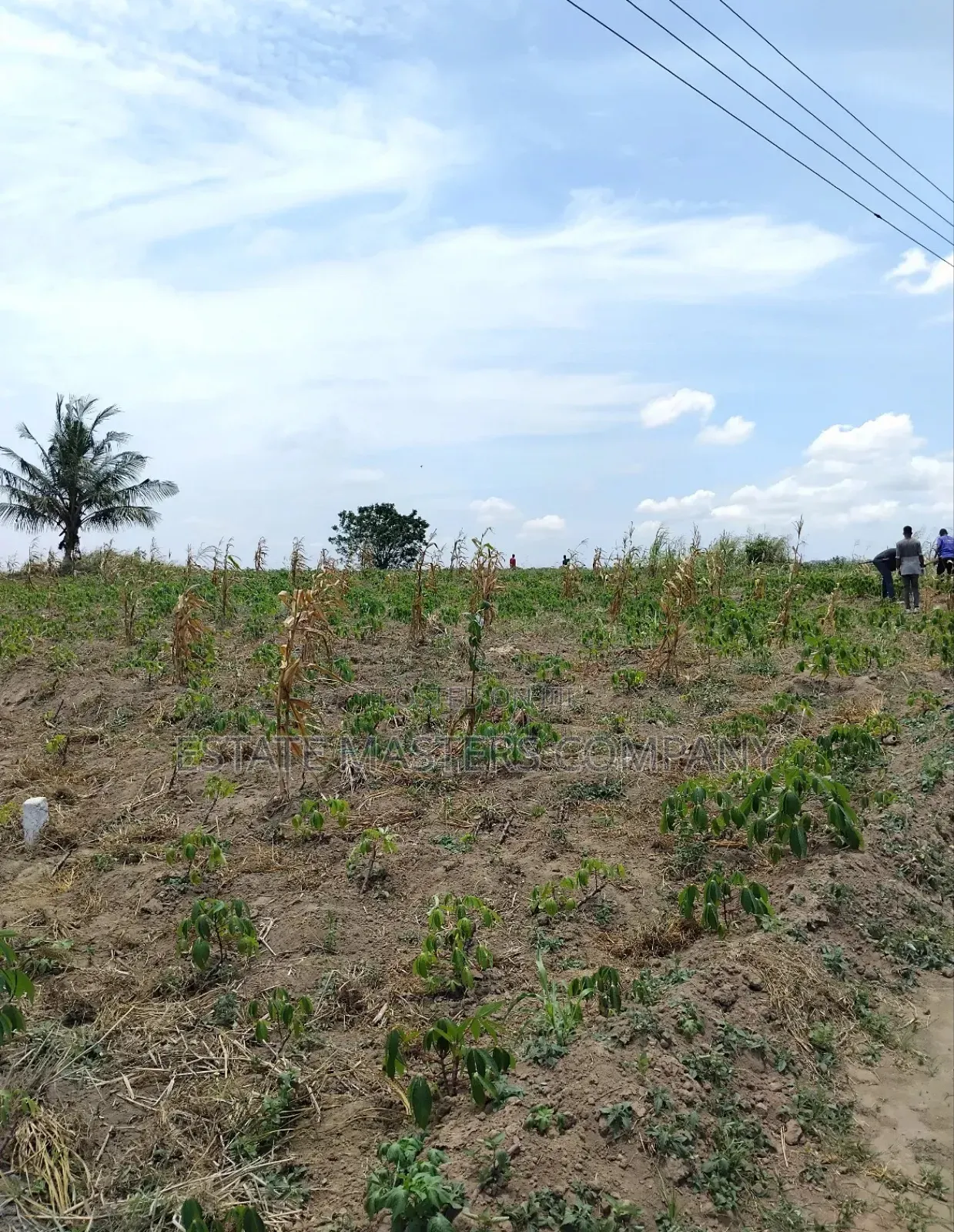 We Are Here to Delight Our Customers When It Comes to Lands in Kasoa