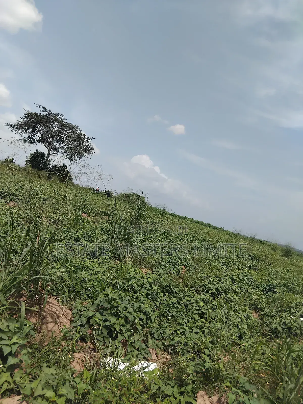 Full Plots at an Affordable Price for Sale in Gomoa East