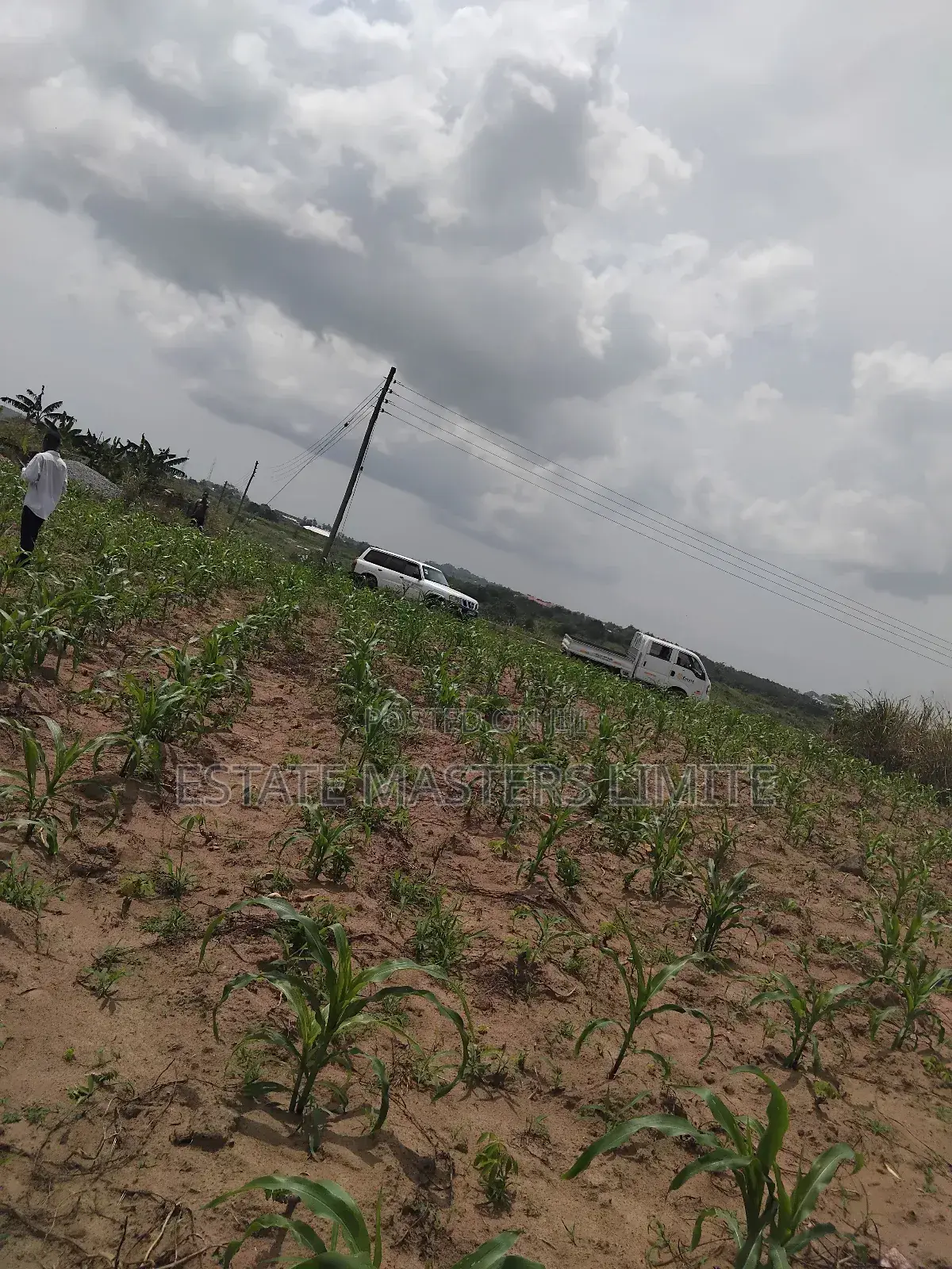 Full Plots at an Affordable Price for Sale in Gomoa East