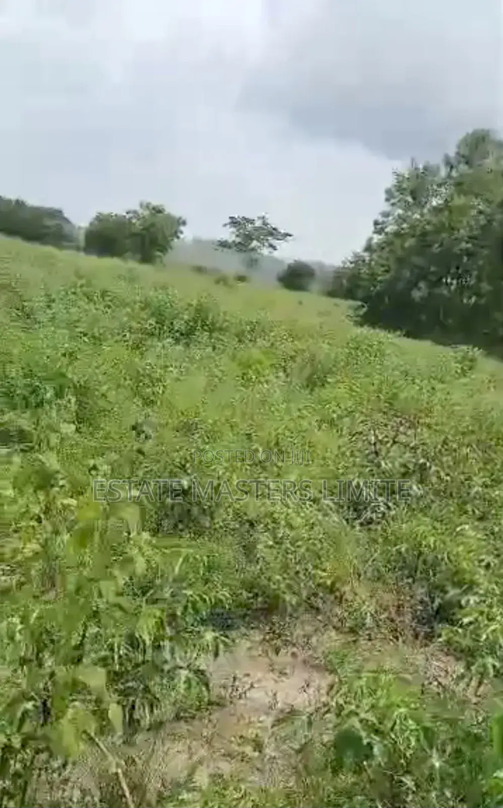 Acres of Lands for Sale at Affordable Prices at Dominase in Gomoa East