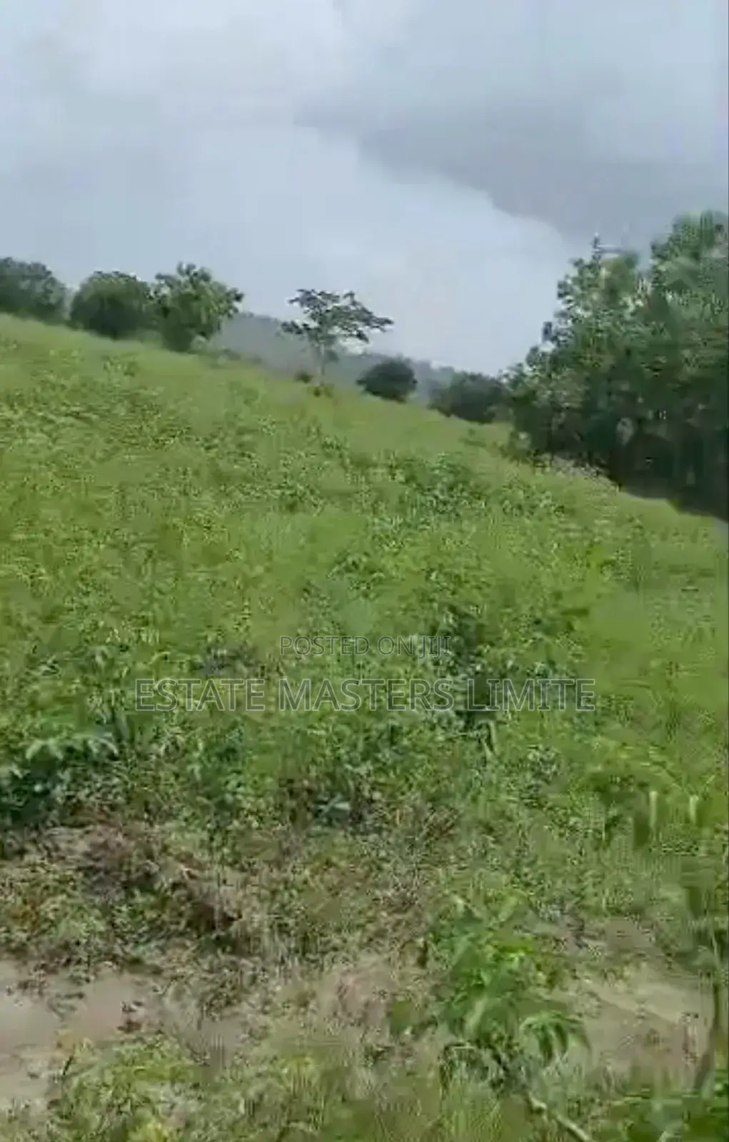 Acres of Lands for Sale at Affordable Prices at Dominase in Gomoa East