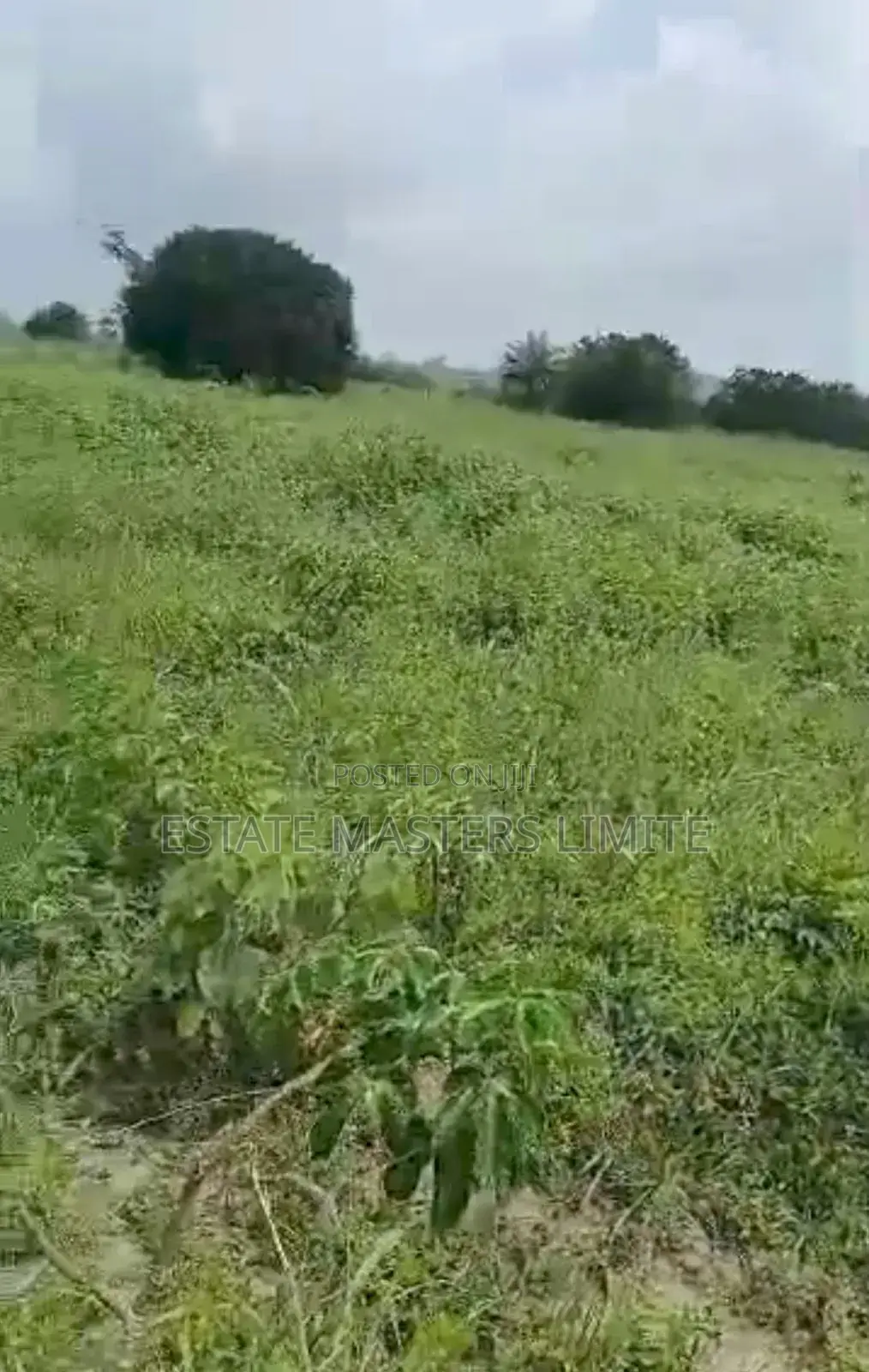 Hurray! Enjoy 10% Discount on Our Lands at Dominase in Gomoa East