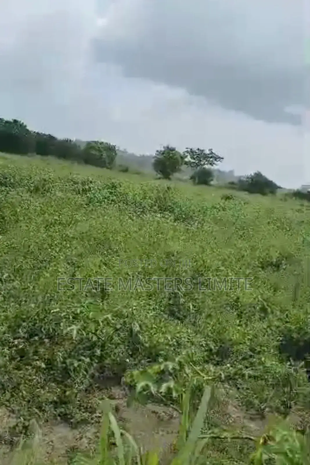 10 Acres of Land Available at Kasoa-Winneba Road in Gomoa East