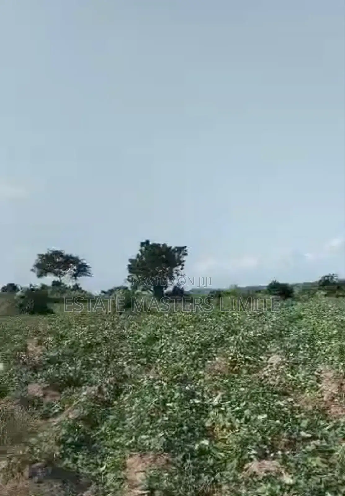 Get a Plots of Land at a Discounted Price at Estate Masters in Gomoa East